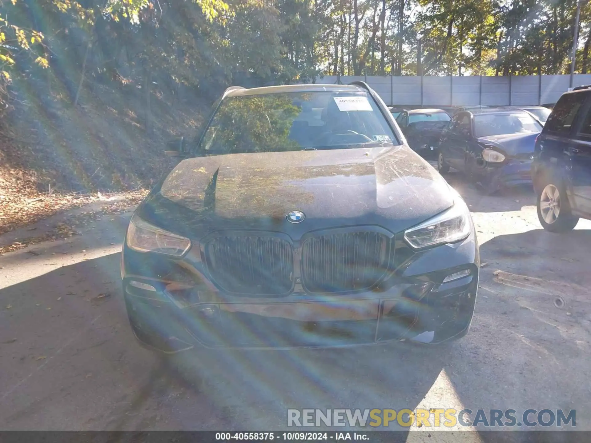13 Photograph of a damaged car 5UXJU2C5XKLN49717 BMW X5 2019
