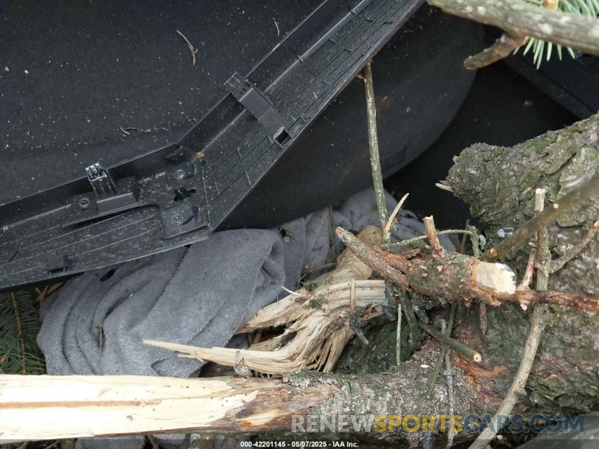 12 Фотография поврежденного автомобиля LRBFZSE45RD046984 BUICK ENVISION 2024