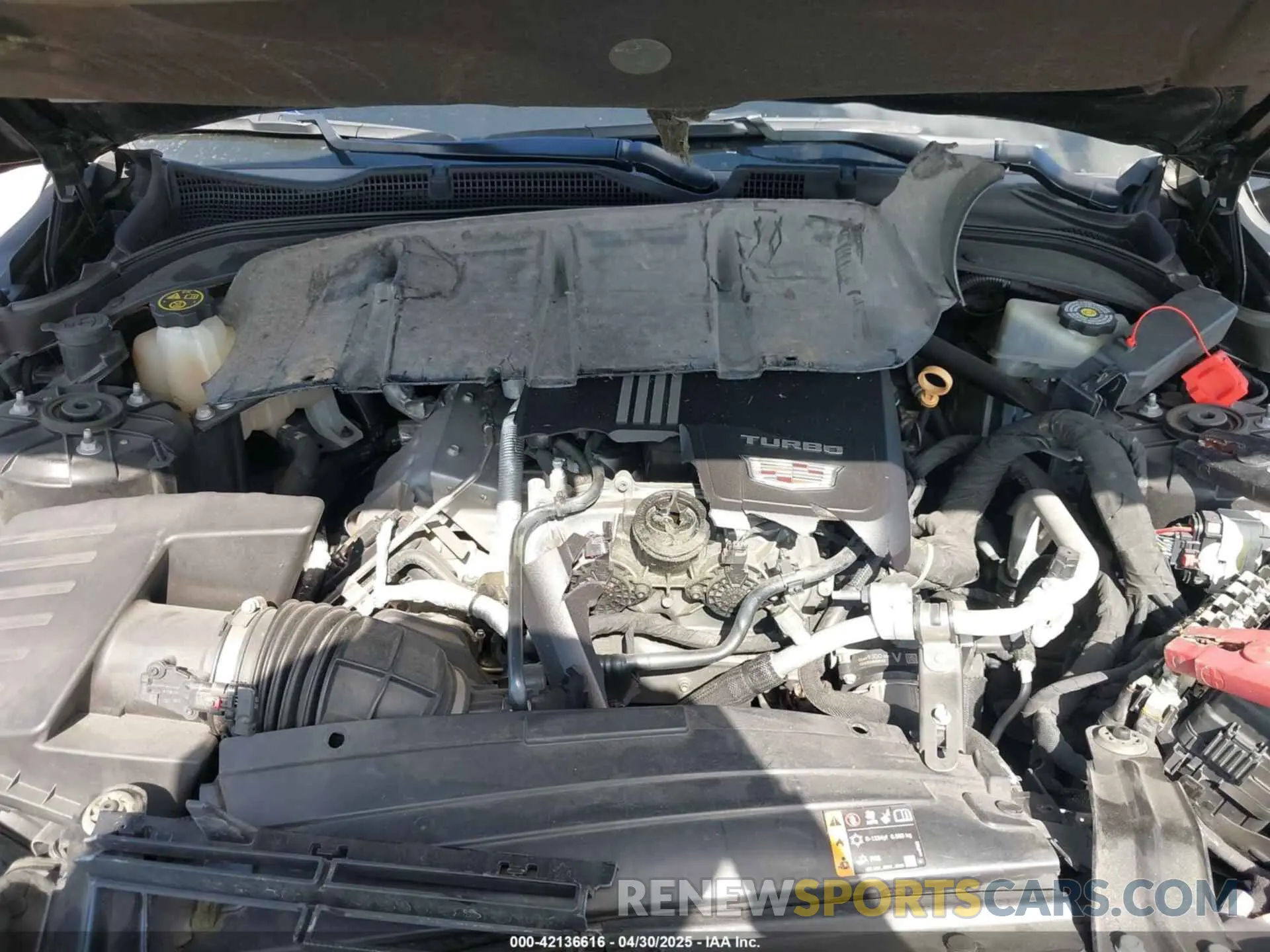 10 Фотография поврежденного автомобиля 1G6DB5RK1L0153166 CADILLAC CT4 2020