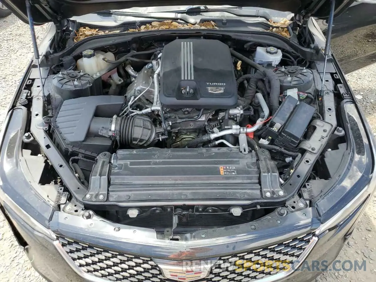 11 Фотография поврежденного автомобиля 1G6DB5RK5L0143269 CADILLAC CT4 2020