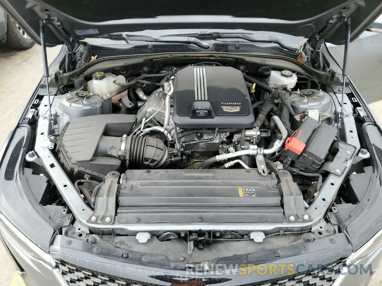 11 Photograph of a damaged car 1G6DA5RK1M0144276 CADILLAC CT4 2021