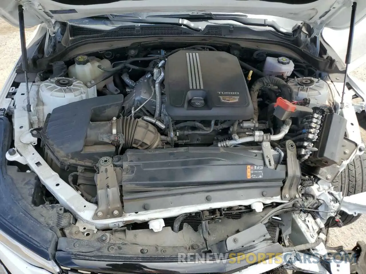 11 Фотография поврежденного автомобиля 1G6DB5RK0M0144203 CADILLAC CT4 2021