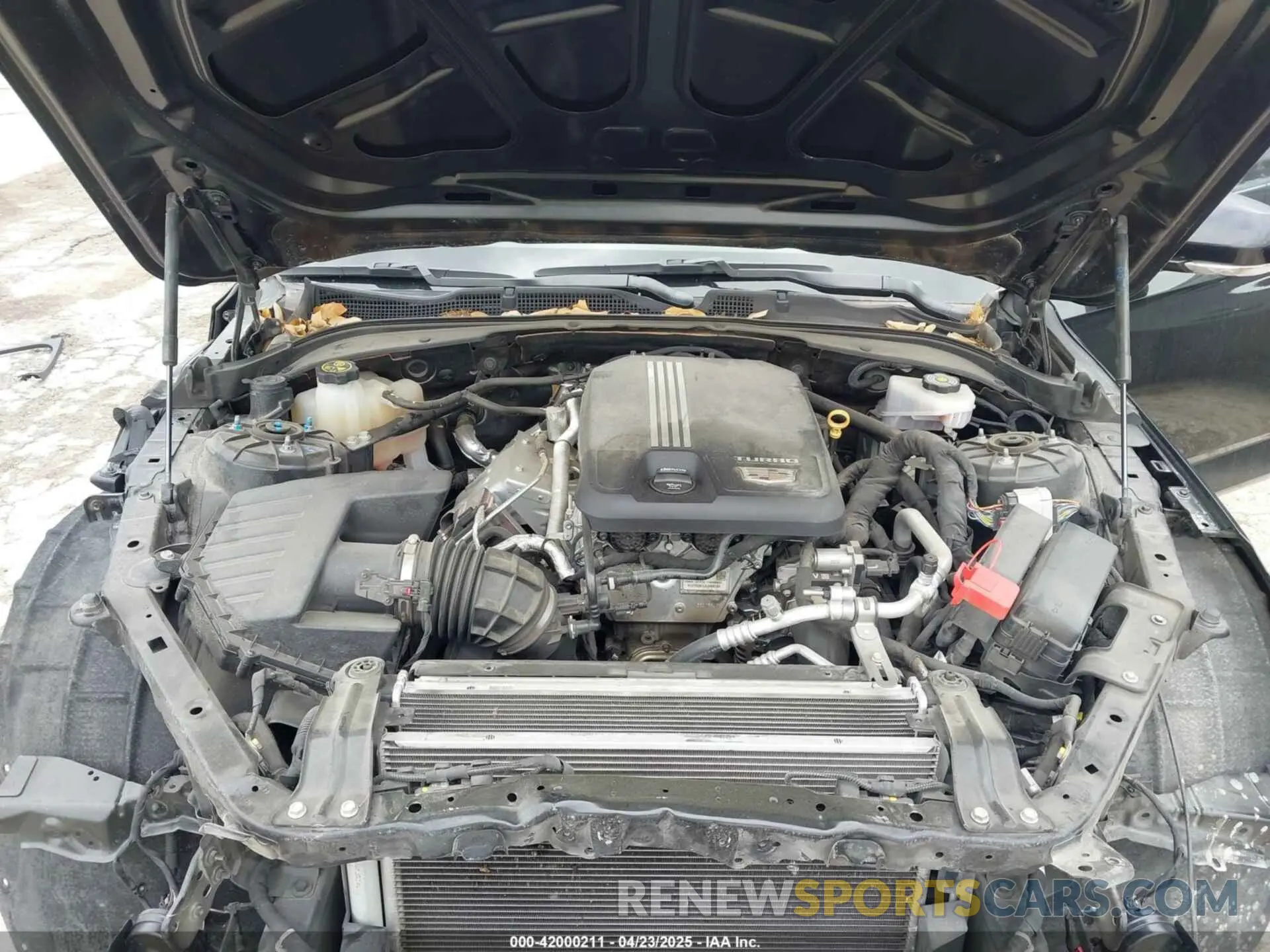 10 Фотография поврежденного автомобиля 1G6DC5RK5M0134988 CADILLAC CT4 2021