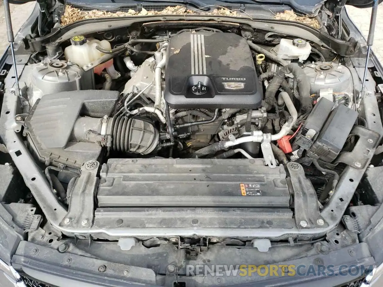 11 Фотография поврежденного автомобиля 1G6DG5RK5M0105737 CADILLAC CT4 2021