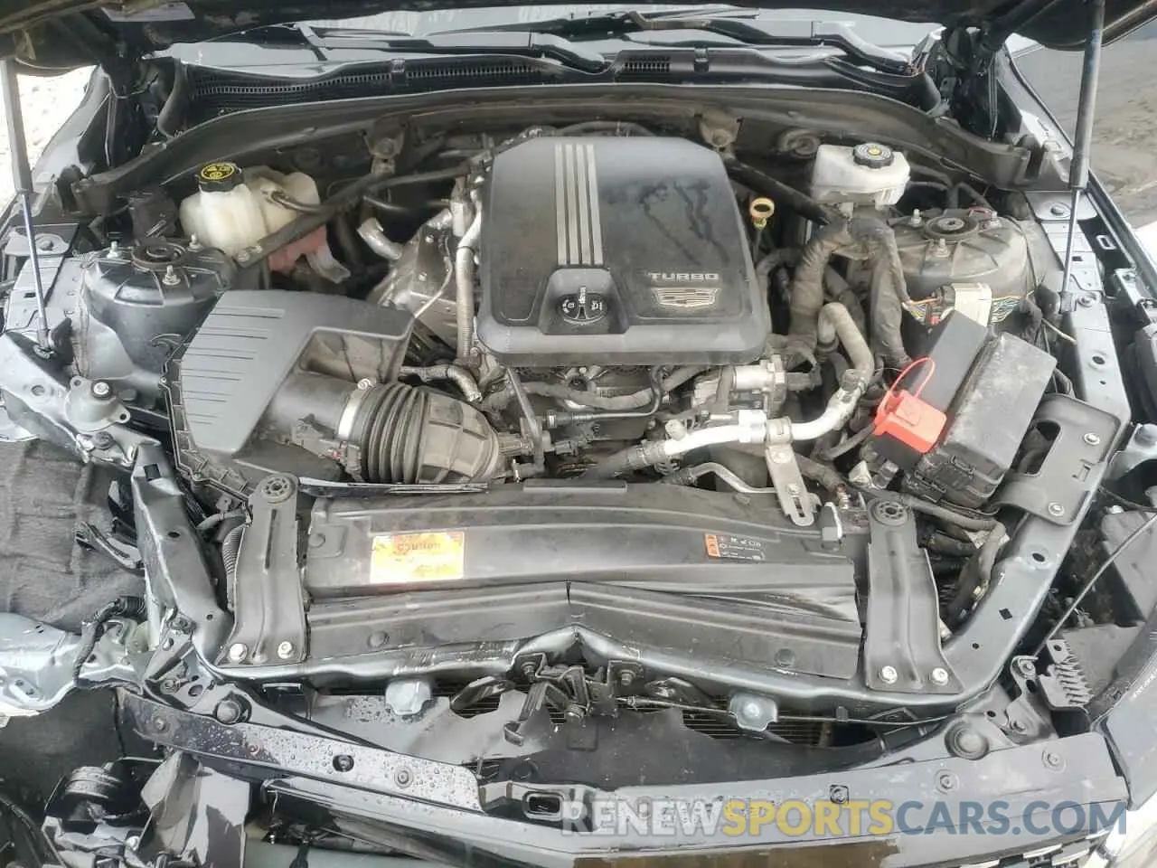 11 Photograph of a damaged car 1G6DJ5RK7M0112741 CADILLAC CT4 2021