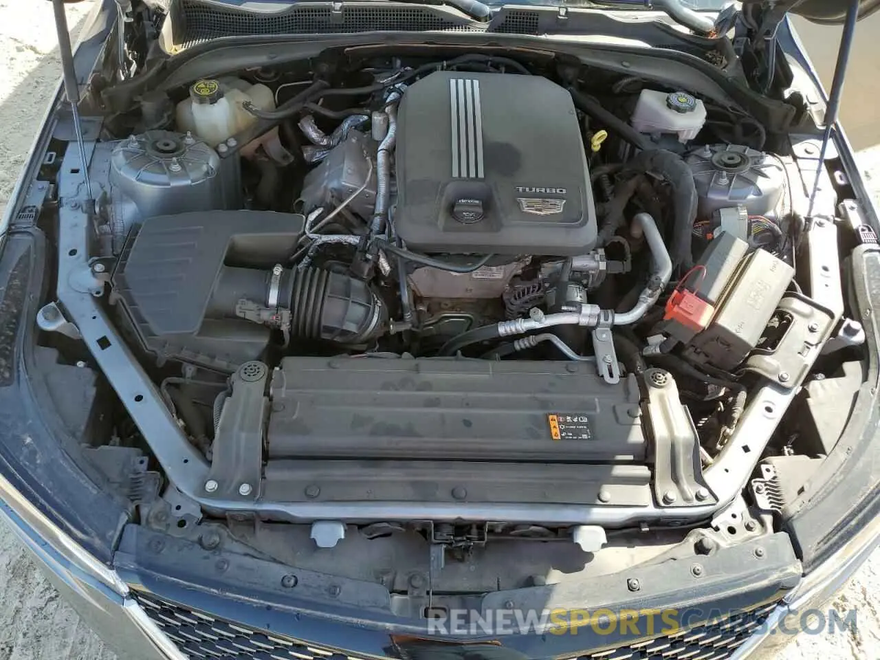 11 Фотография поврежденного автомобиля 1G6DB5RK0N0116144 CADILLAC CT4 2022