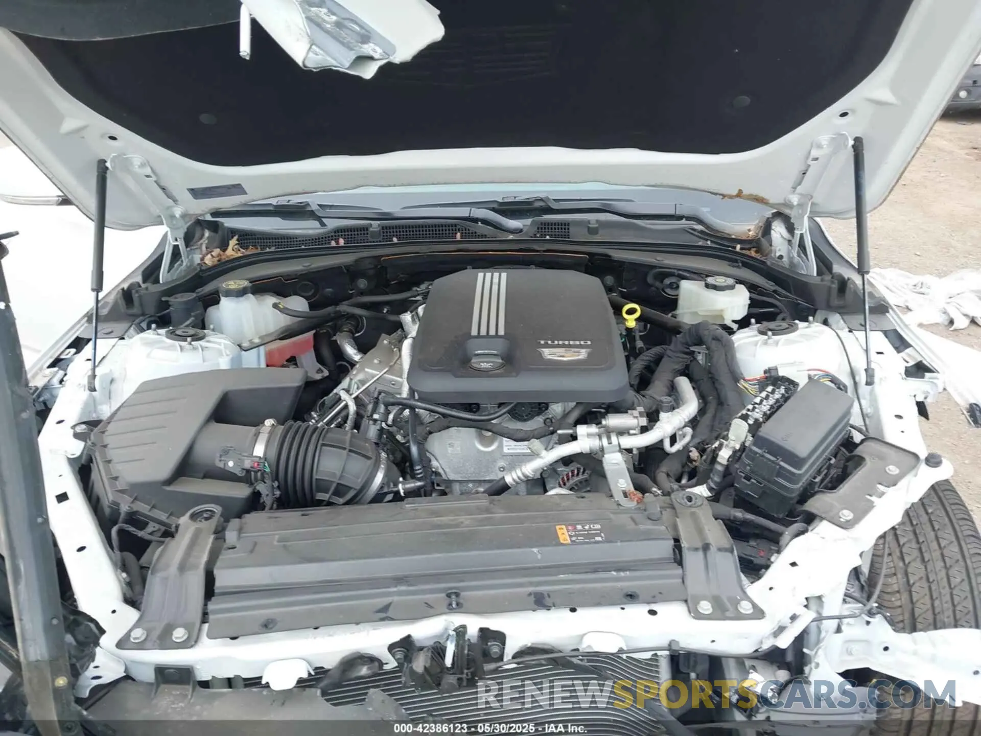 10 Фотография поврежденного автомобиля 1G6DK5RK2P0108016 CADILLAC CT4 2023