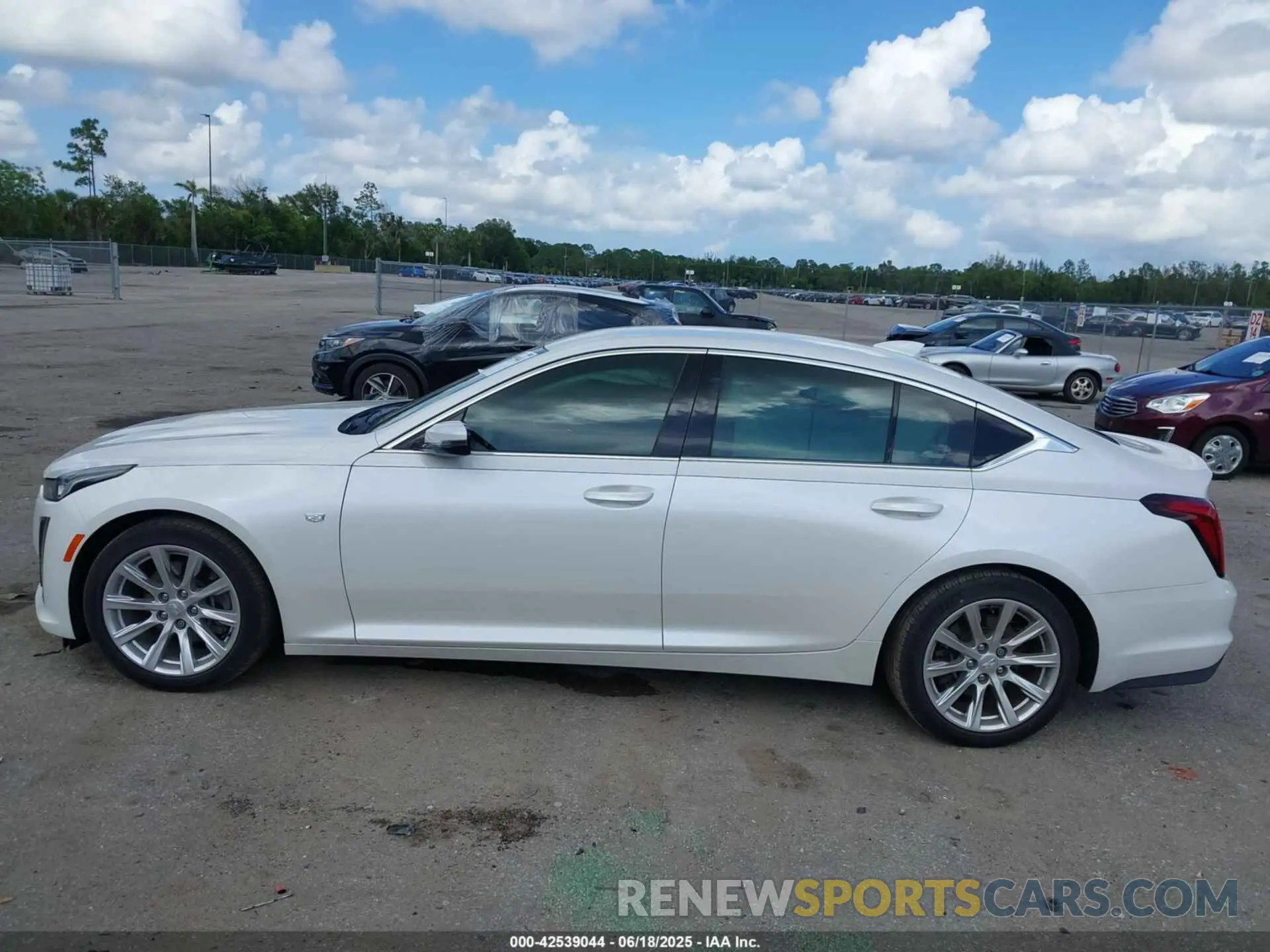 14 Photograph of a damaged car 1G6DM5RK5L0154430 CADILLAC CT5 2020
