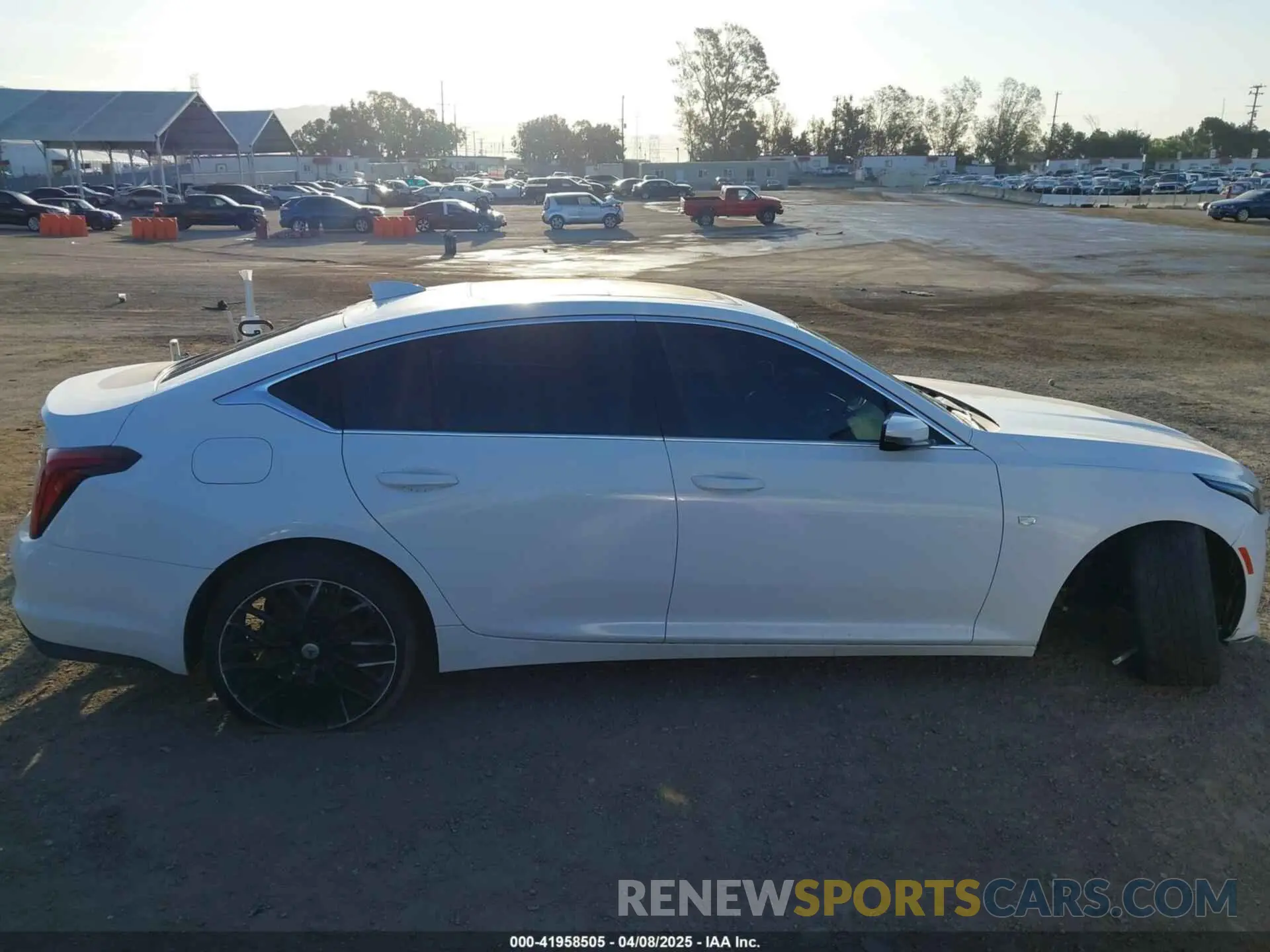 13 Photograph of a damaged car 1G6DW5RK9L0128732 CADILLAC CT5 2020