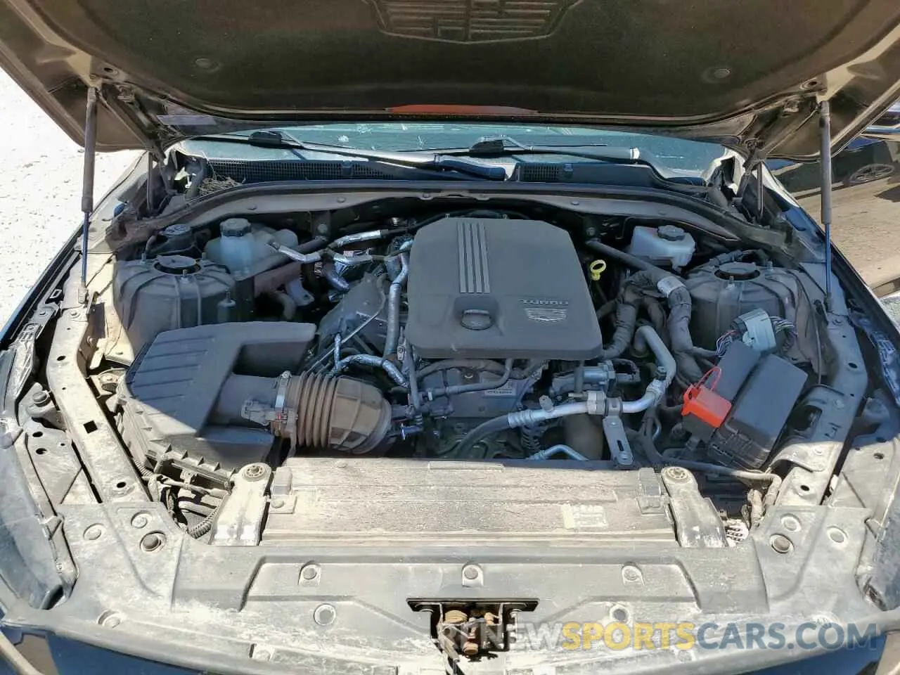 11 Фотография поврежденного автомобиля 1G6DP5RK8M0145519 CADILLAC CT5 2021