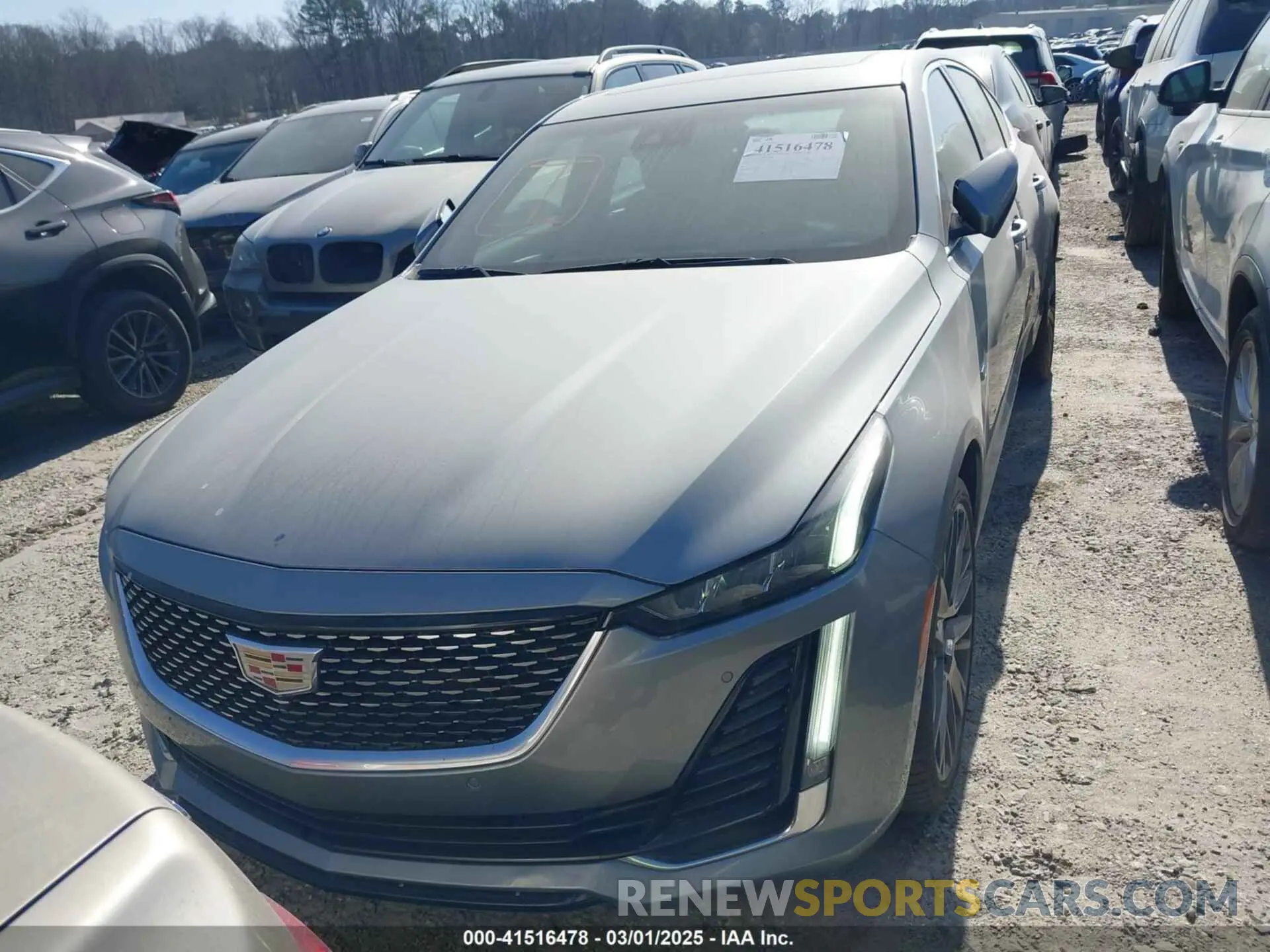 12 Photograph of a damaged car 1G6DS5RW4P0134281 CADILLAC CT5 2023