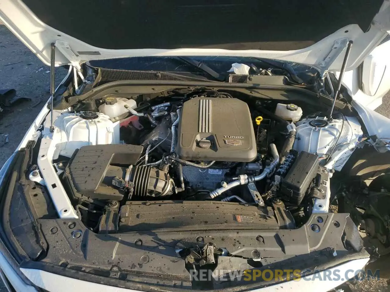 12 Photograph of a damaged car 1G6DP5RK6R0126197 CADILLAC CT5 2024