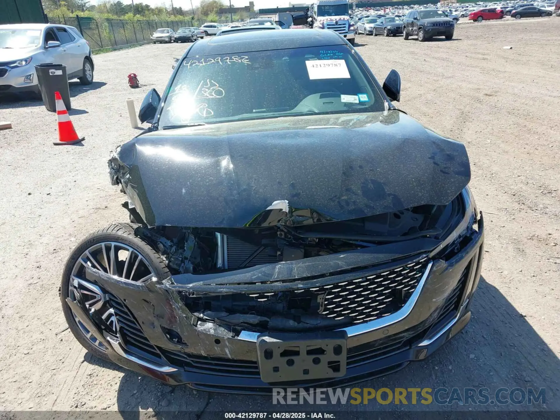 12 Photograph of a damaged car 1G6DT5RK2R0131439 CADILLAC CT5 2024