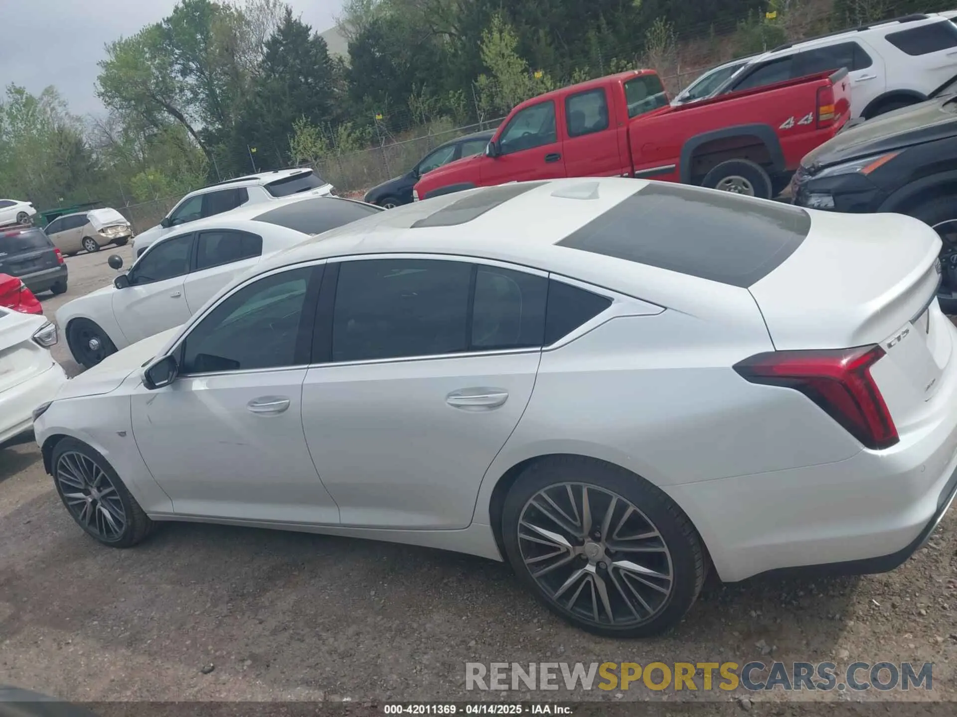 15 Фотография поврежденного автомобиля 1G6DT5RW3R0129279 CADILLAC CT5 2024