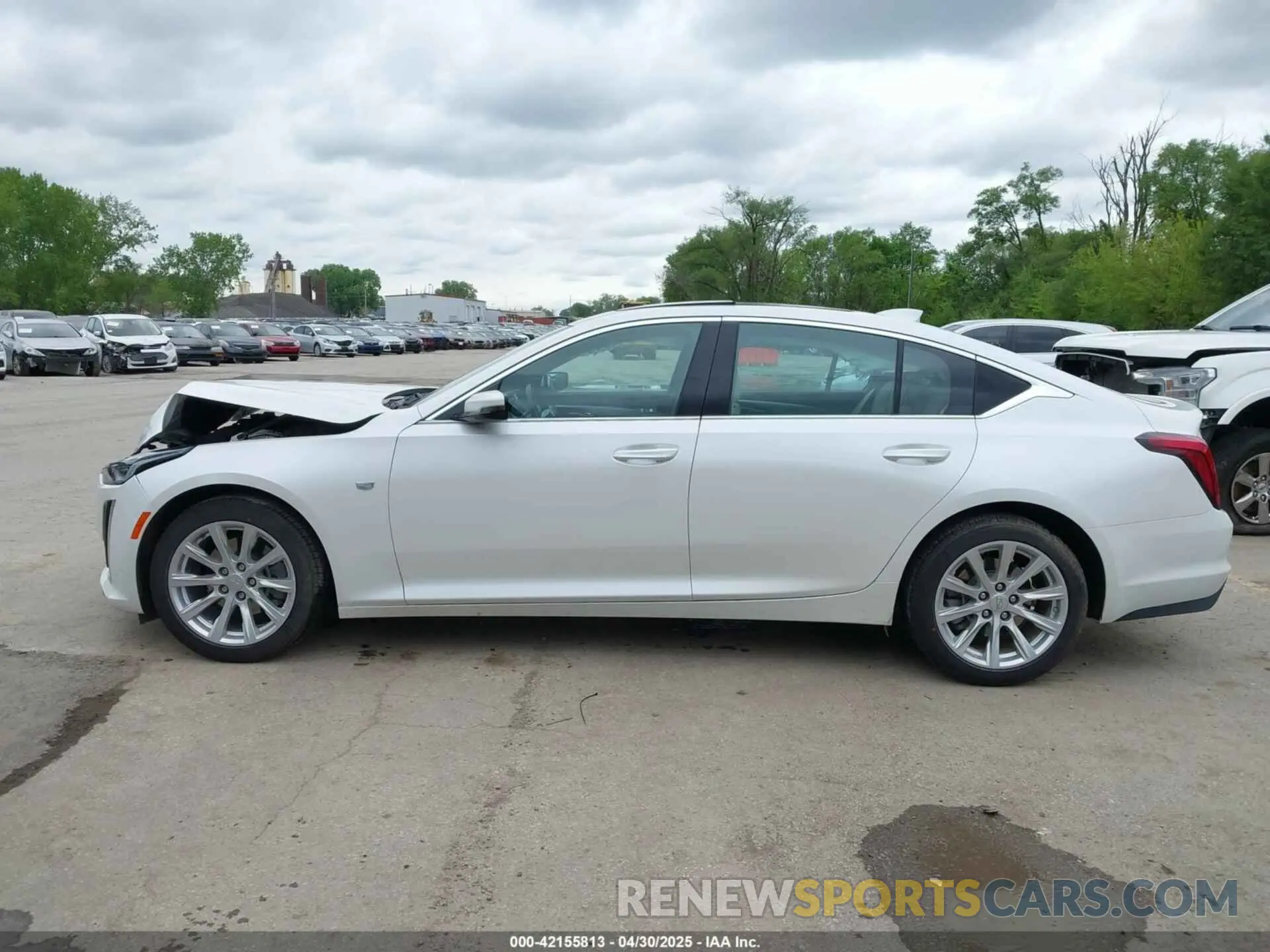 14 Фотография поврежденного автомобиля 1G6DX5RK5R0103588 CADILLAC CT5 2024