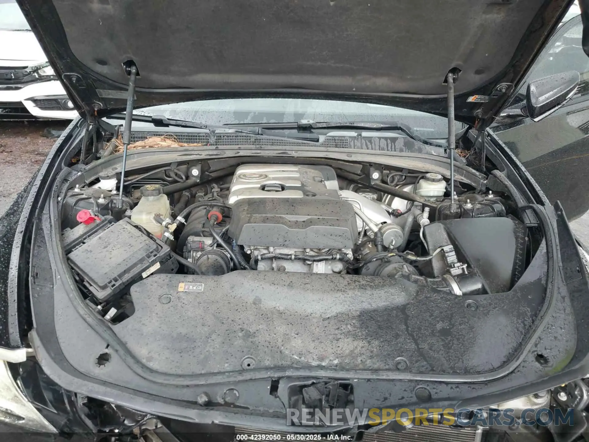 10 Photograph of a damaged car 1G6D25R60N0860474 CADILLAC CT5-V 2022