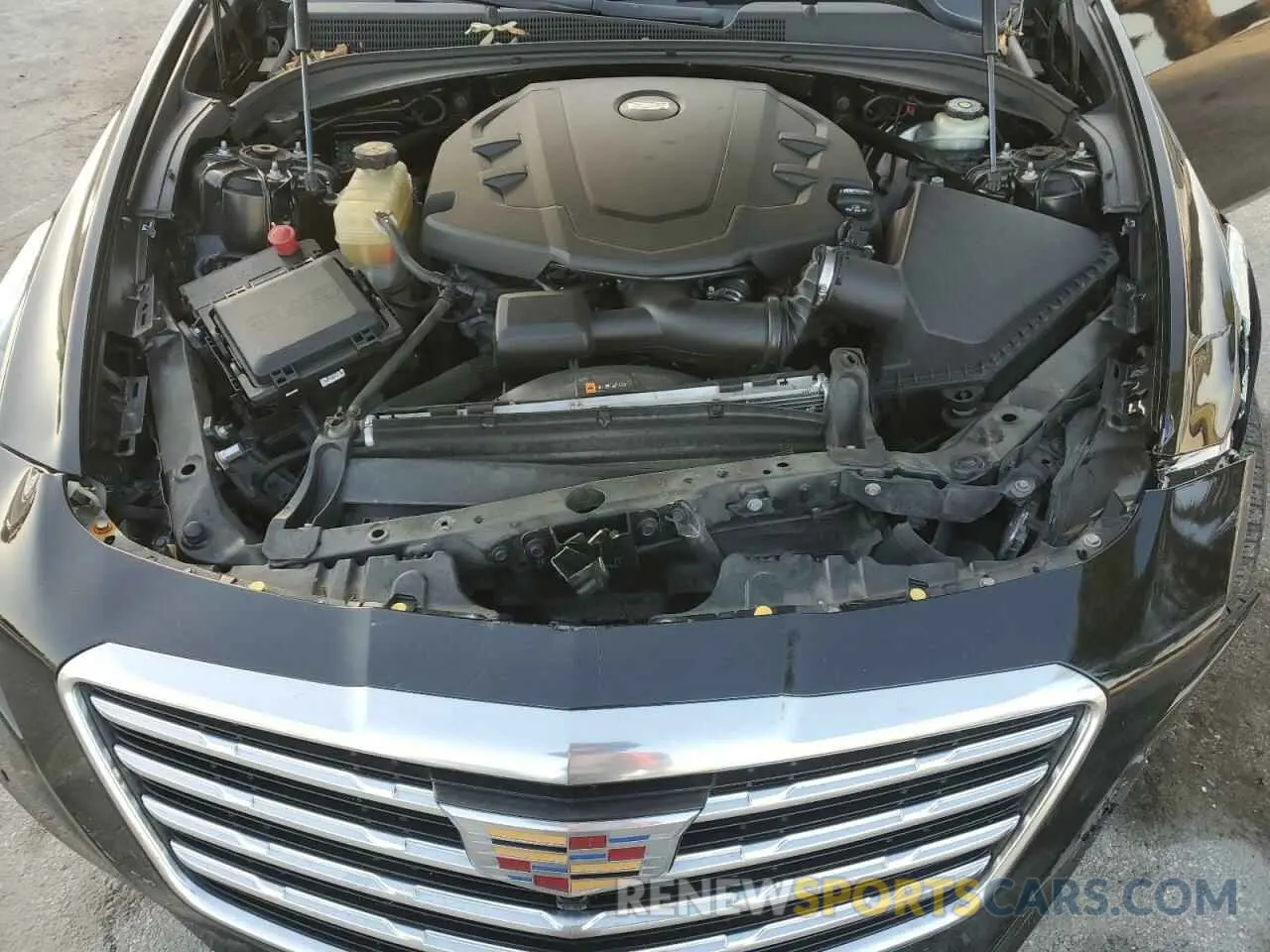 11 Photograph of a damaged car 1G6AS5SSXK0141755 CADILLAC CTS 2019