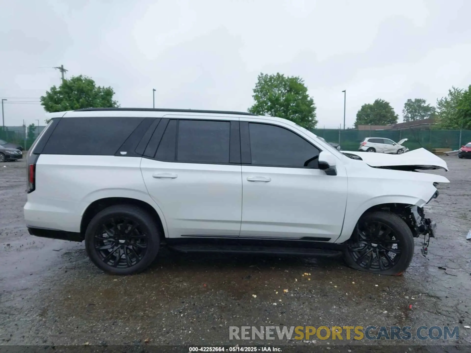 13 Фотография поврежденного автомобиля 1GYS4EKL1RR351567 CADILLAC ESCALADE 2024