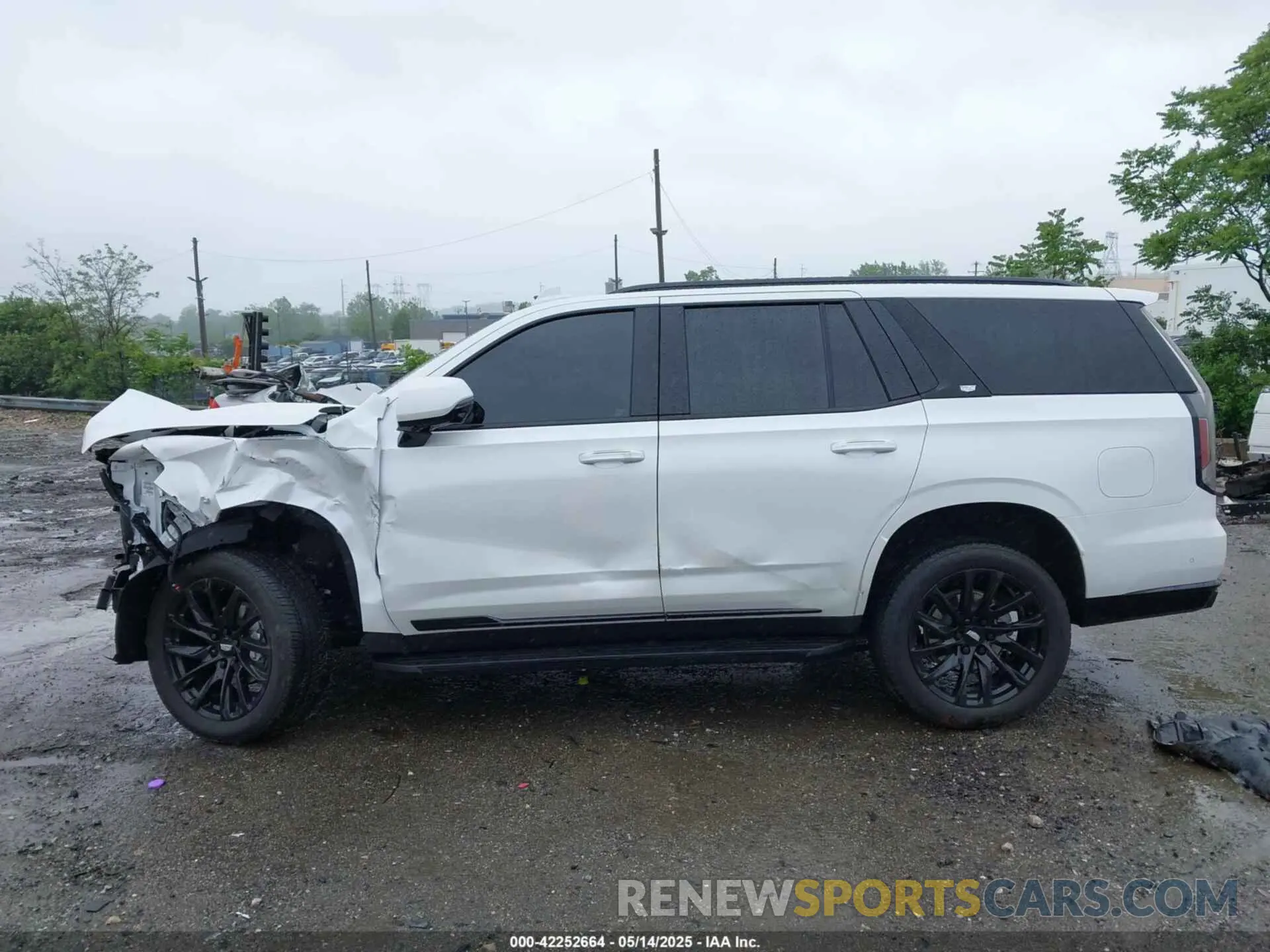 14 Фотография поврежденного автомобиля 1GYS4EKL1RR351567 CADILLAC ESCALADE 2024