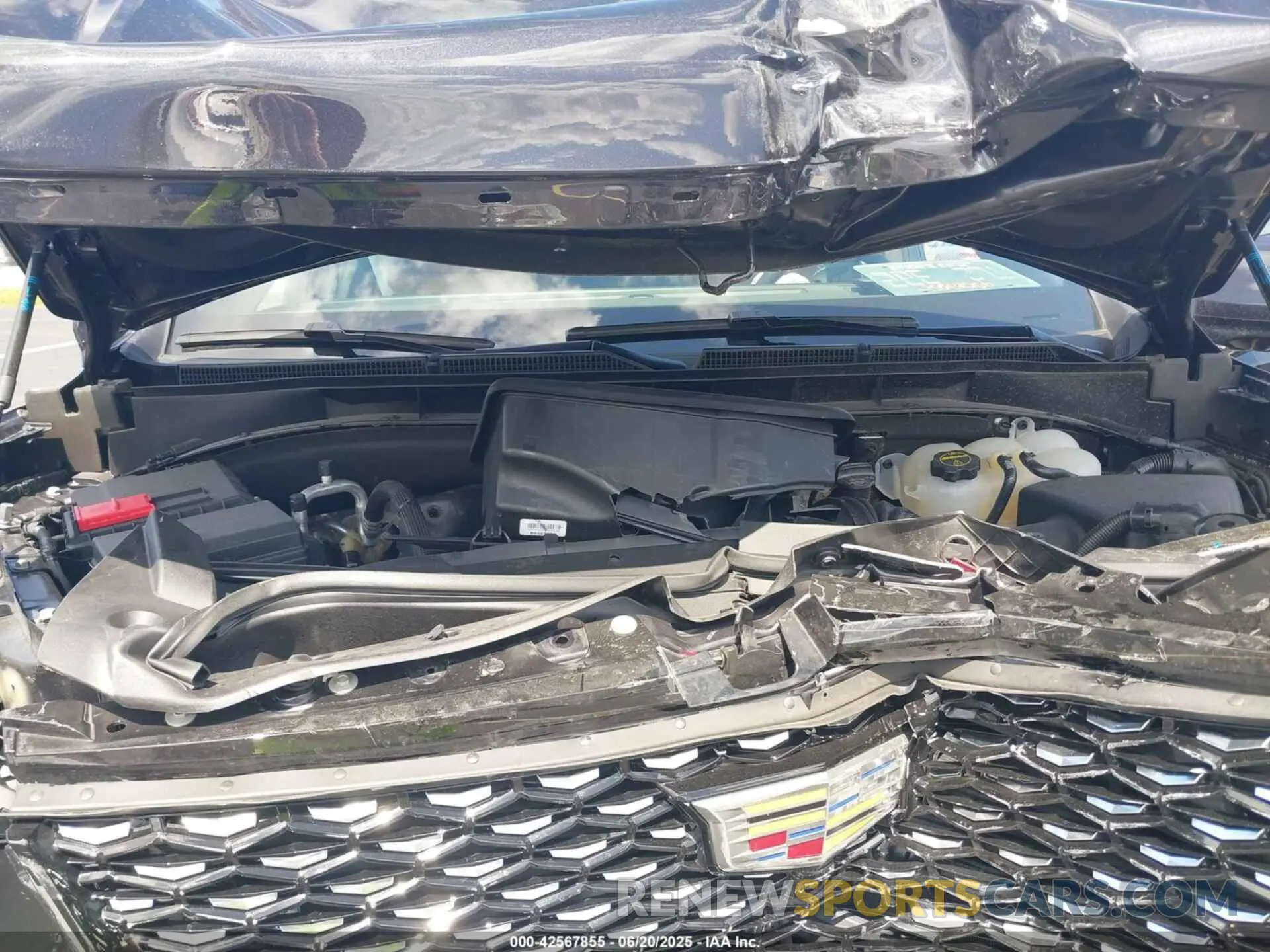 10 Photograph of a damaged car 1GYS8LRL6SR192601 CADILLAC ESCALADE ESV 2025
