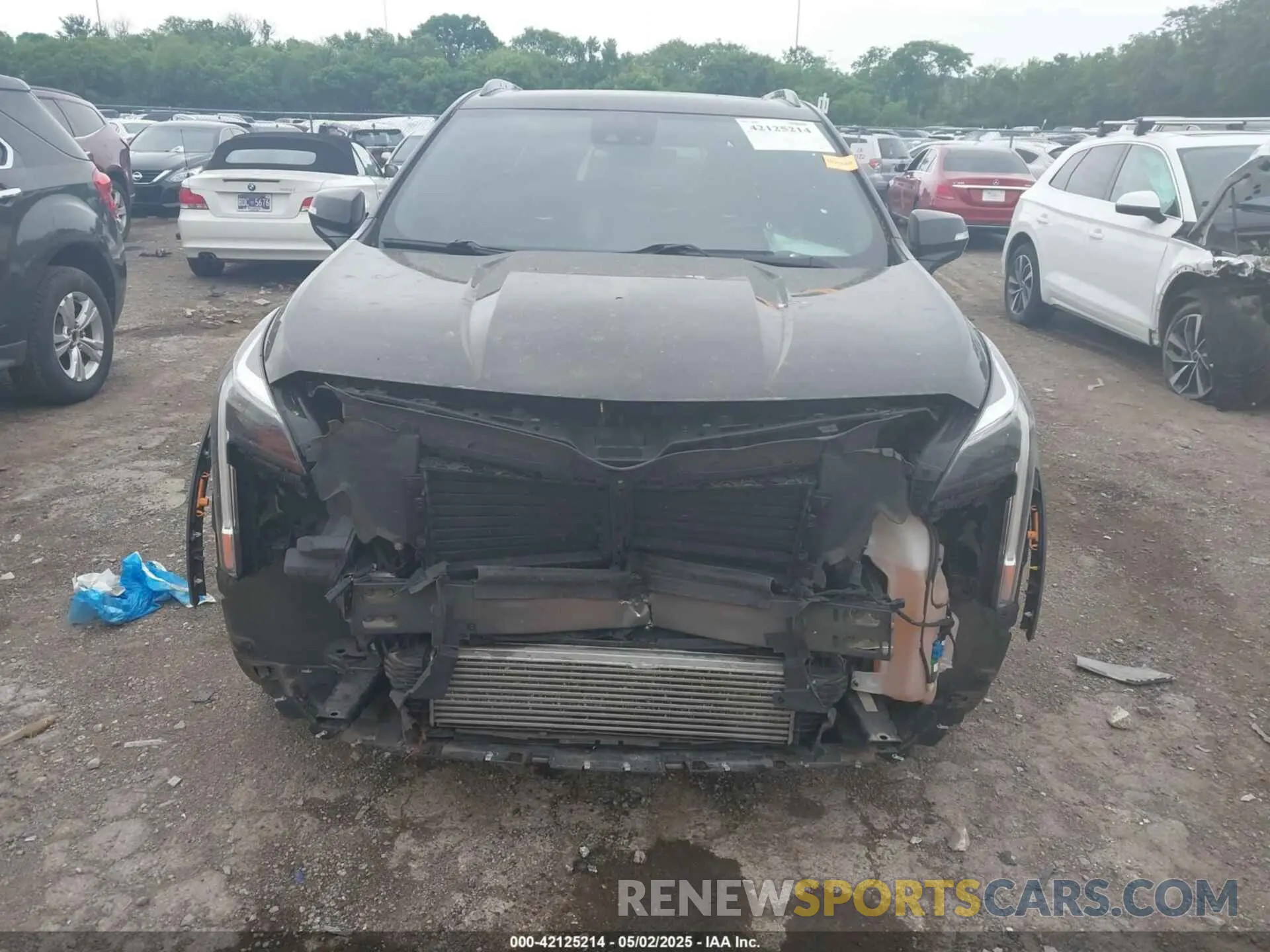 13 Photograph of a damaged car 1GYFZER48KF102076 CADILLAC XT4 2019
