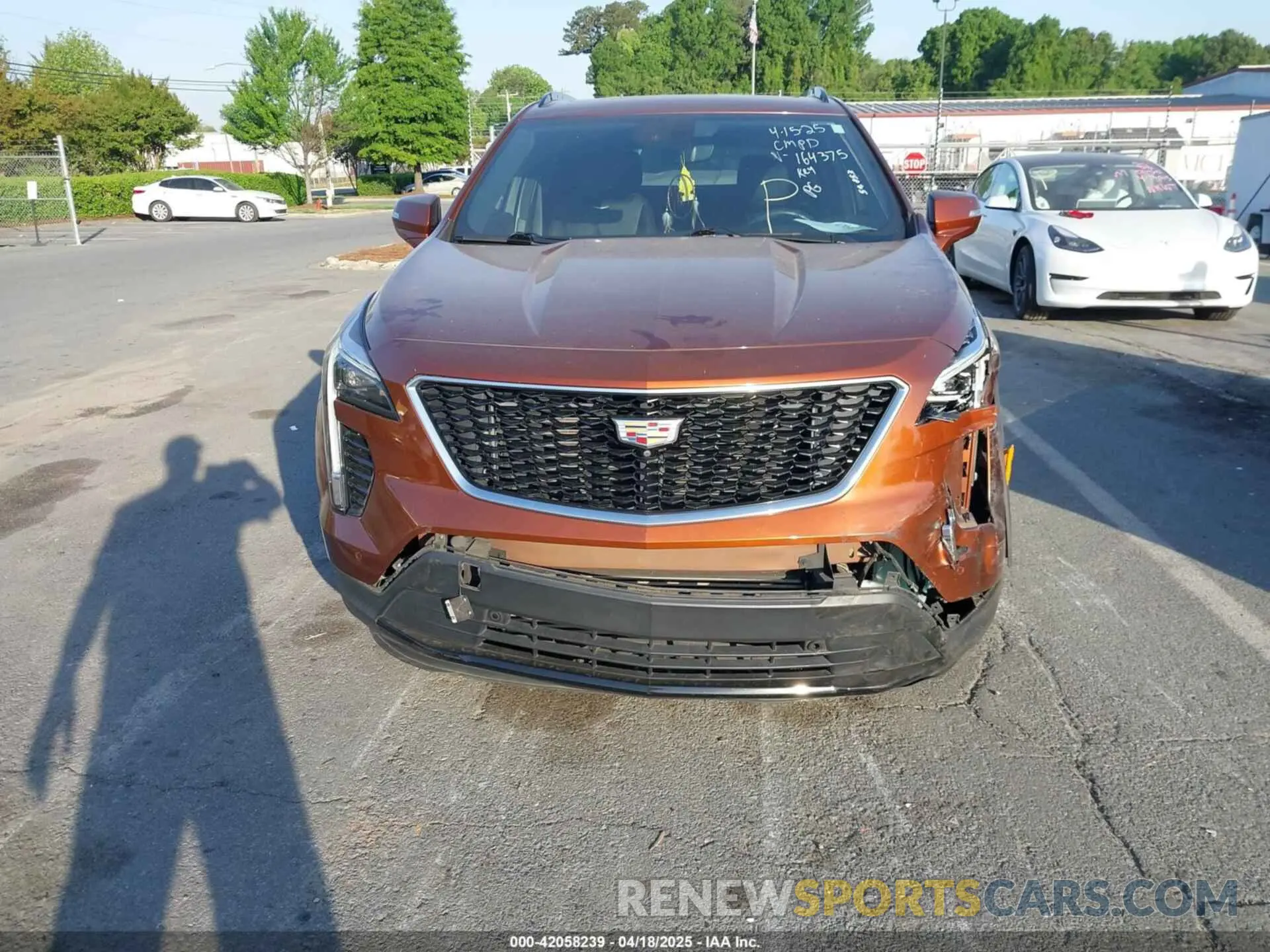 11 Фотография поврежденного автомобиля 1GYFZER49KF164375 CADILLAC XT4 2019