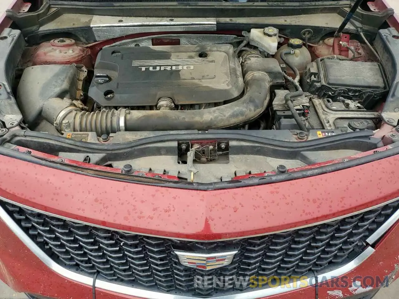 12 Фотография поврежденного автомобиля 1GYFZFR45KF175735 CADILLAC XT4 2019