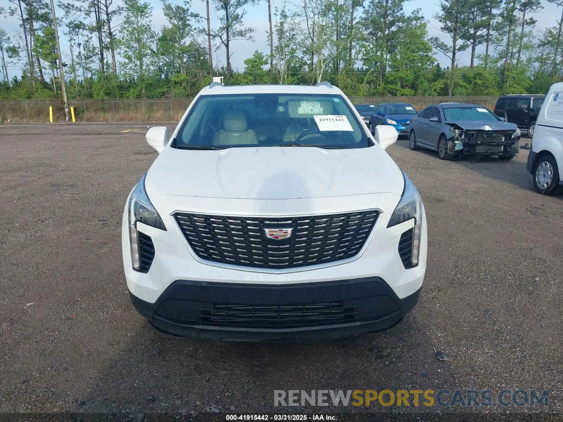 12 Photograph of a damaged car 1GYAZAR48PF205055 CADILLAC XT4 2023