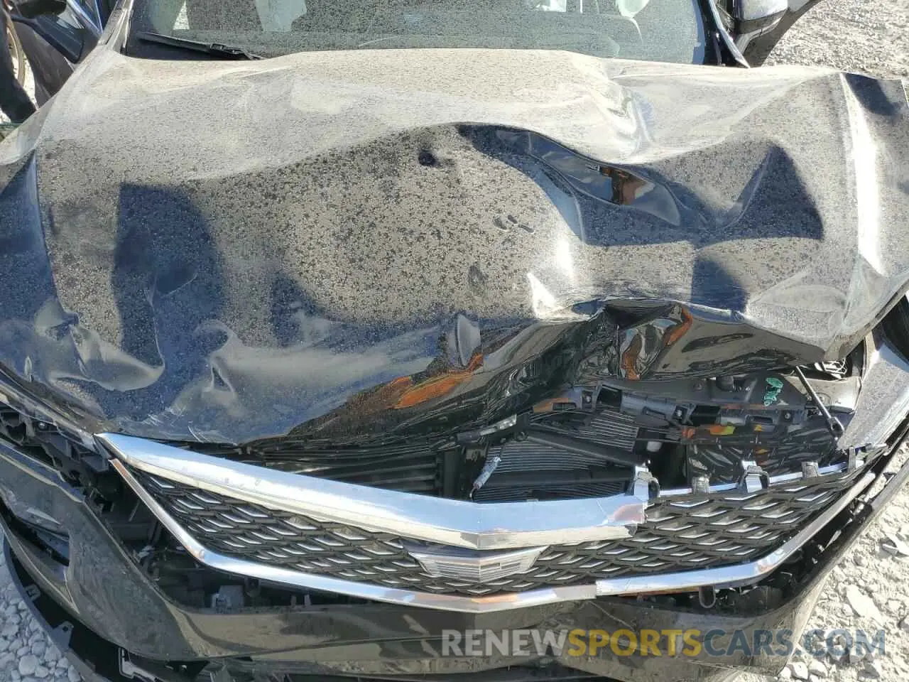 12 Фотография поврежденного автомобиля 1GYFZCR40SF126201 CADILLAC XT4 2025