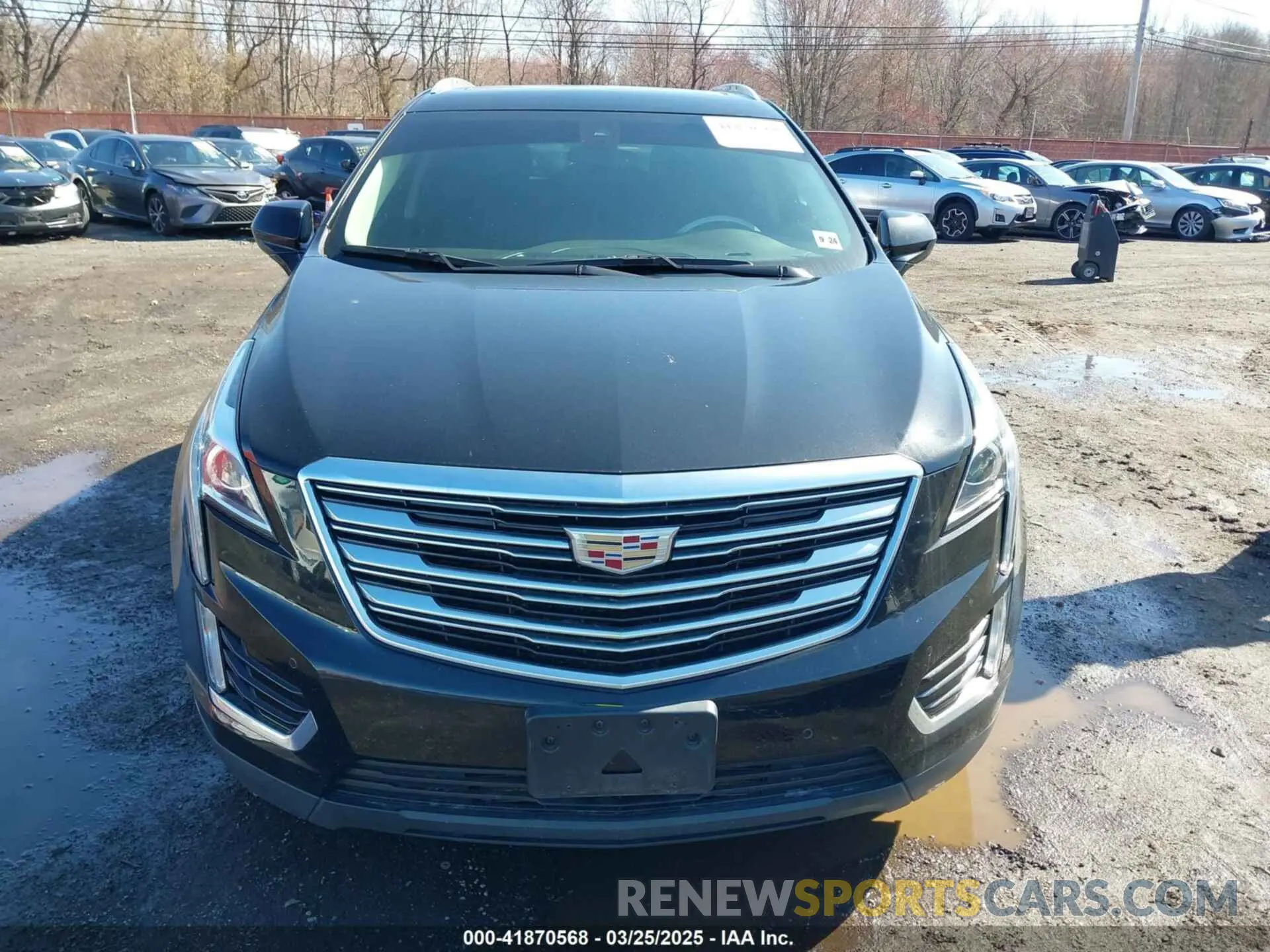 12 Photograph of a damaged car 1GYKNDRS0KZ219247 CADILLAC XT5 2019
