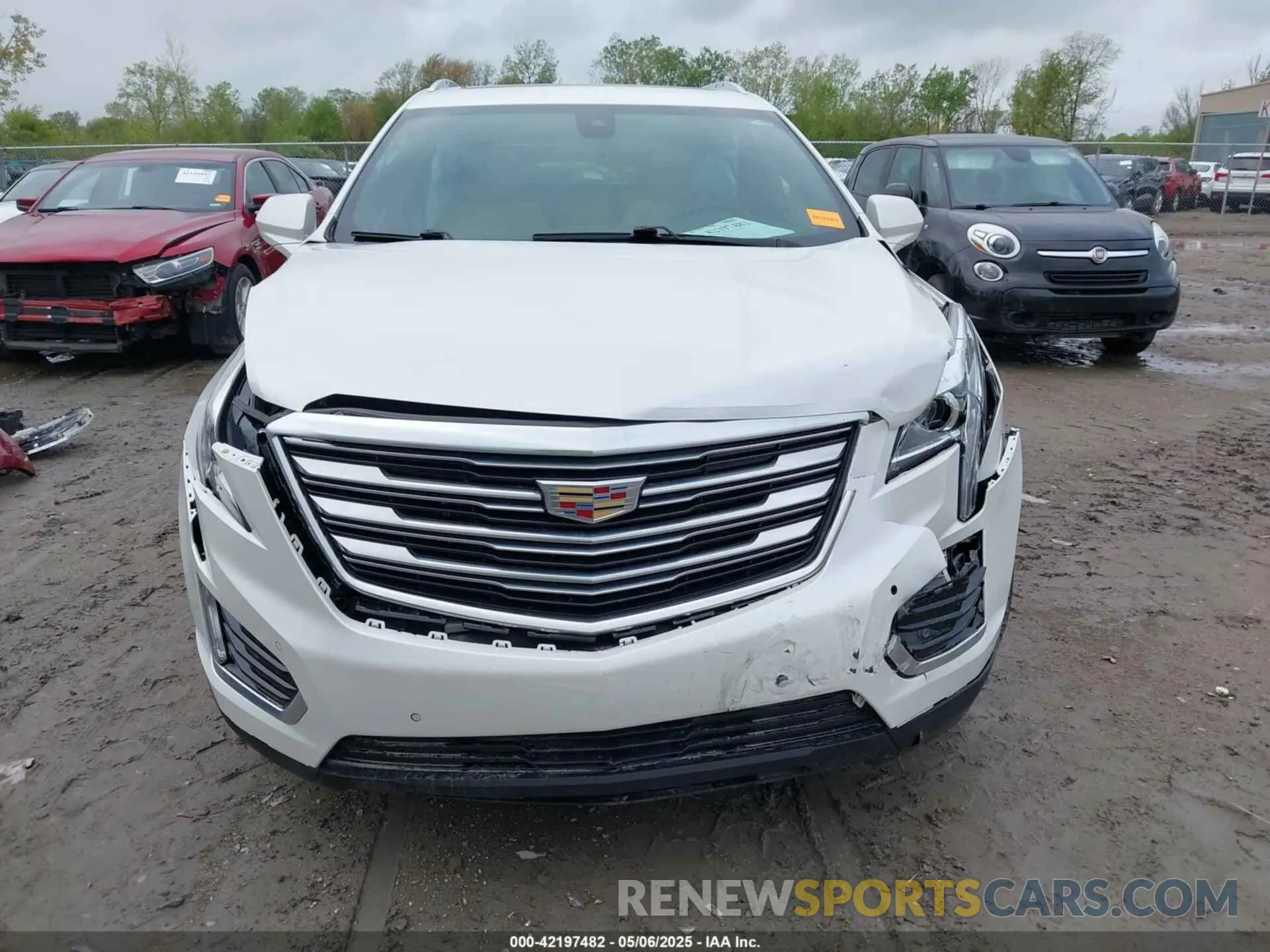 13 Photograph of a damaged car 1GYKNDRS0KZ233178 CADILLAC XT5 2019