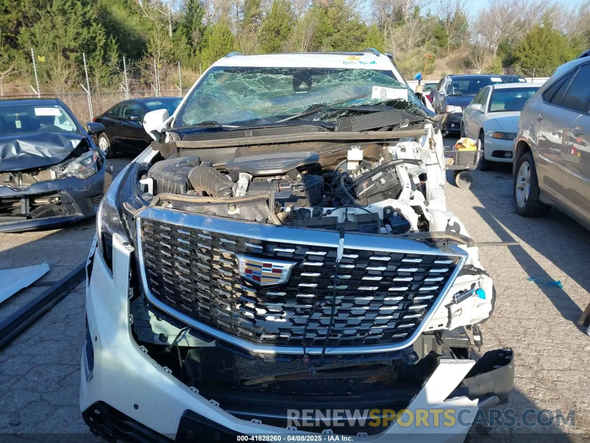 12 Photograph of a damaged car 1GYKNDRS2LZ213595 CADILLAC XT5 2020