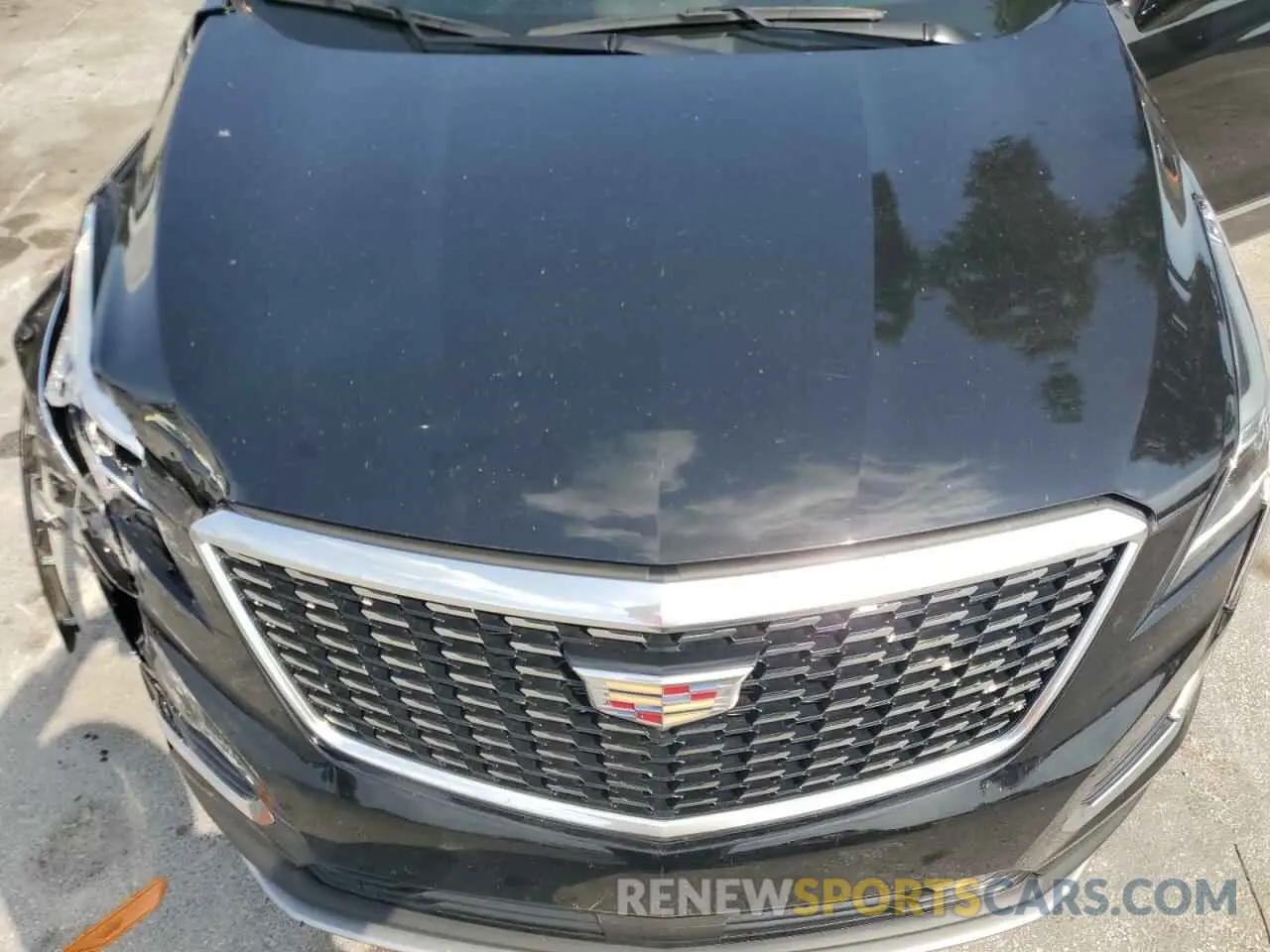 12 Photograph of a damaged car 1GYKNCRS7NZ101131 CADILLAC XT5 2022