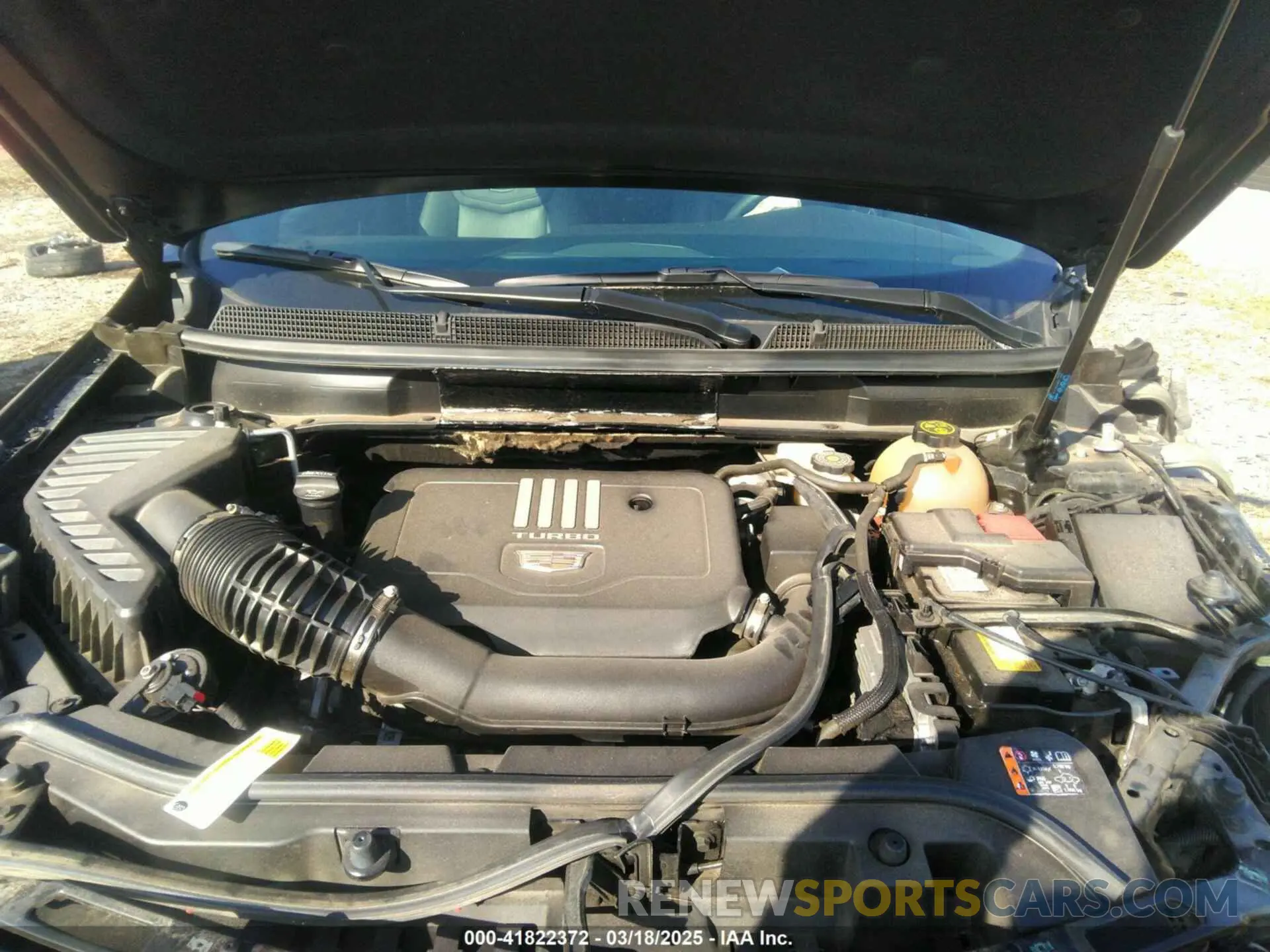 10 Photograph of a damaged car 1GYKNDR4XNZ164098 CADILLAC XT5 2022