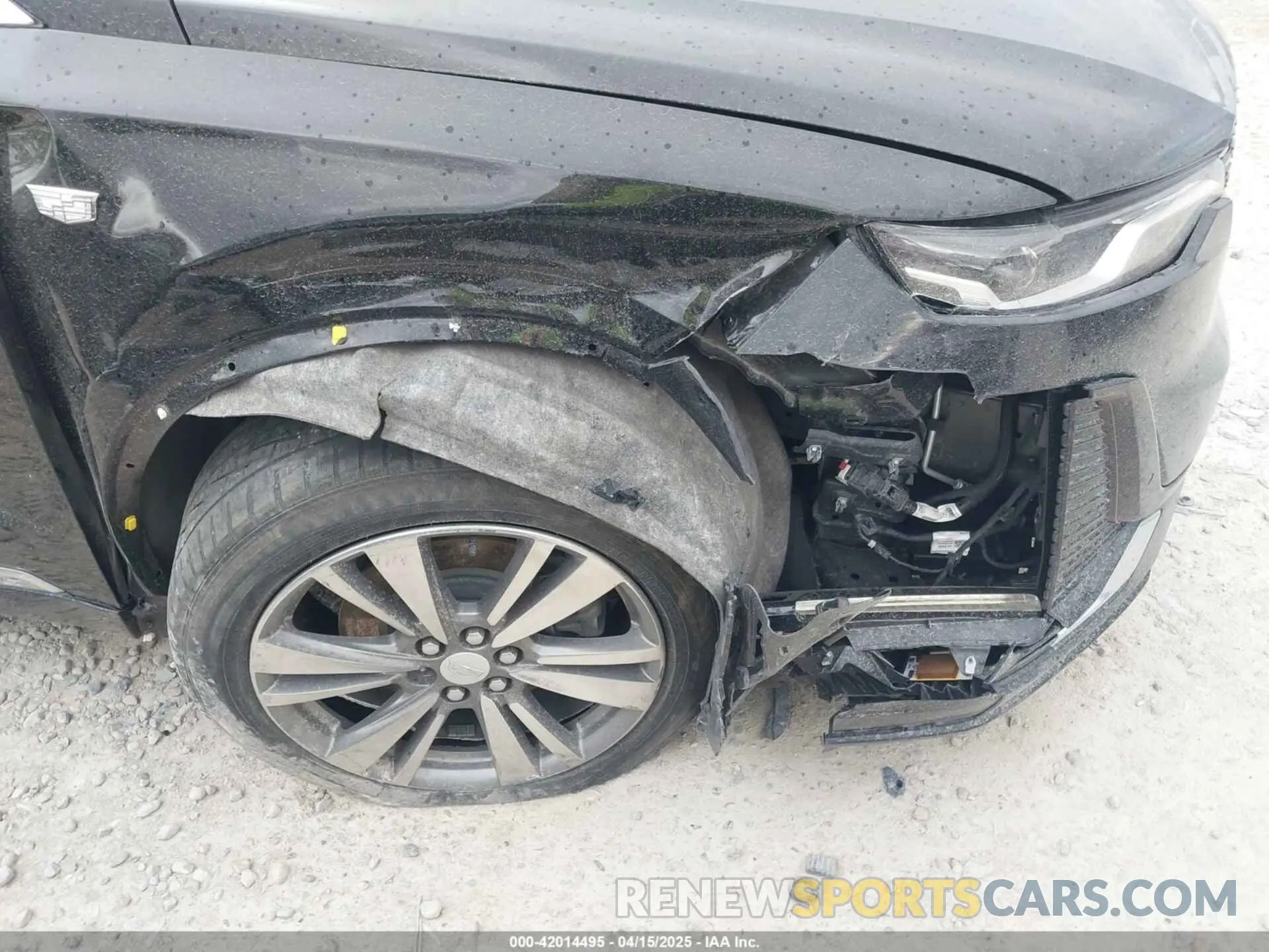 12 Photograph of a damaged car 1GYKPDRS2MZ141406 CADILLAC XT6 2021
