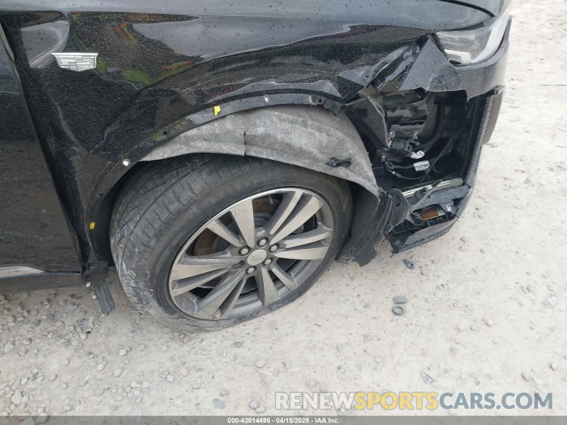 19 Photograph of a damaged car 1GYKPDRS2MZ141406 CADILLAC XT6 2021