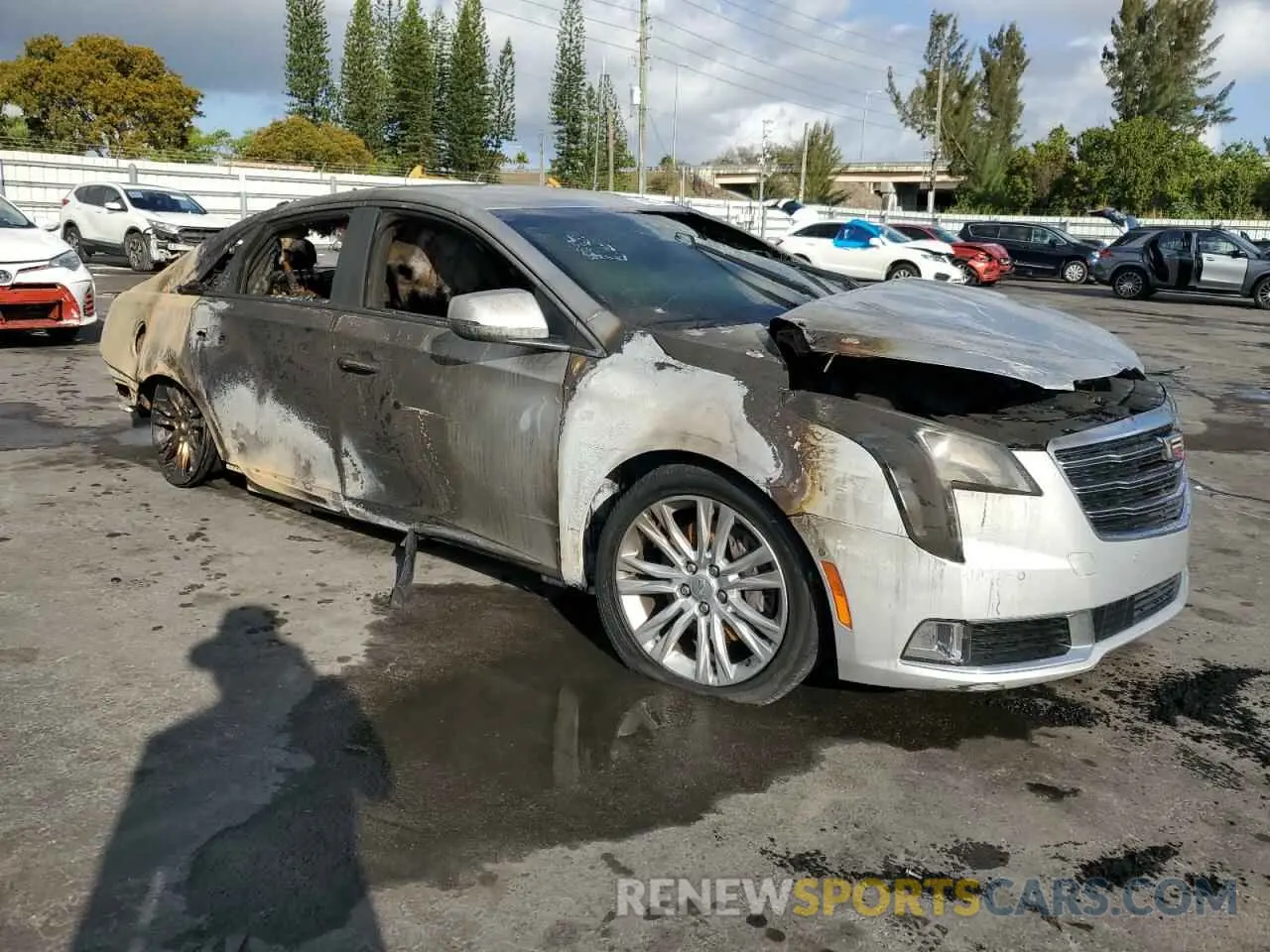 4 Фотография поврежденного автомобиля 2G61M5S33K9109318 CADILLAC XTS 2019
