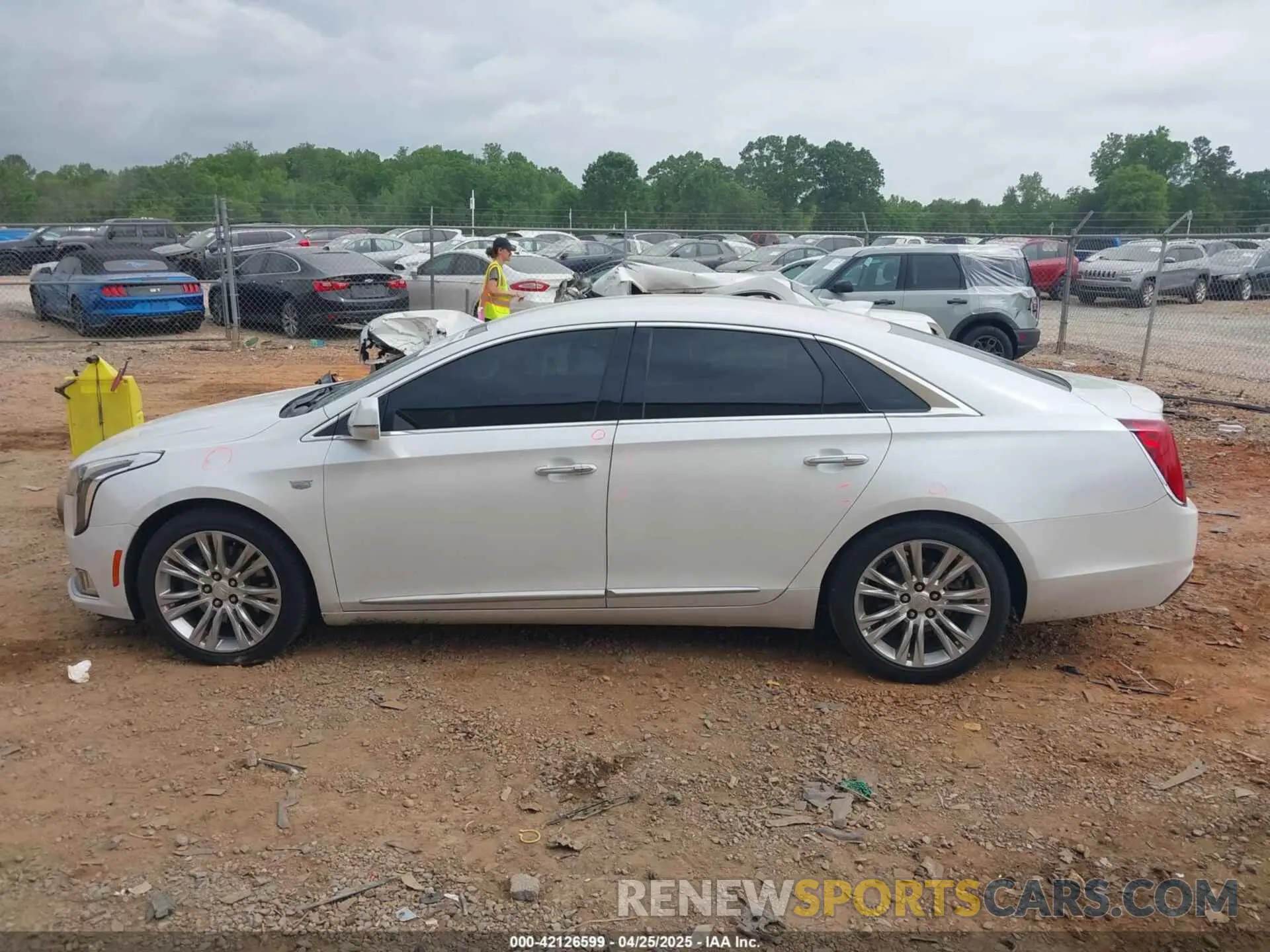 14 Фотография поврежденного автомобиля 2G61M5S39K9122039 CADILLAC XTS 2019