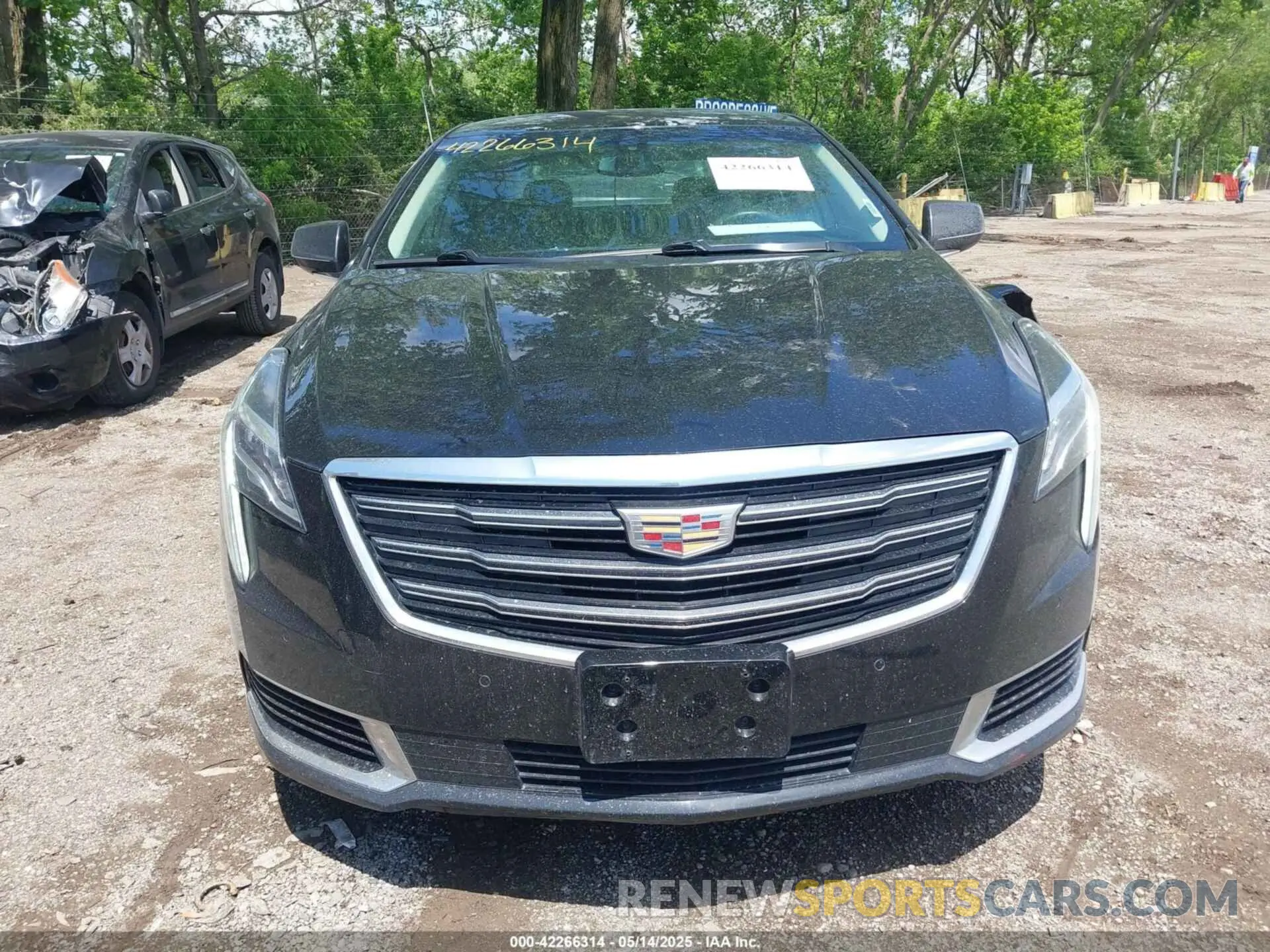 13 Photograph of a damaged car 2G61U5S37K9157078 CADILLAC XTS 2019