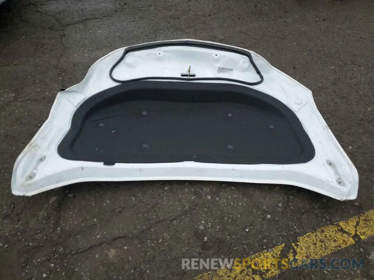 13 Фотография поврежденного автомобиля 3GNKBLRSXRS282234 CHEVROLET BLAZER 2024
