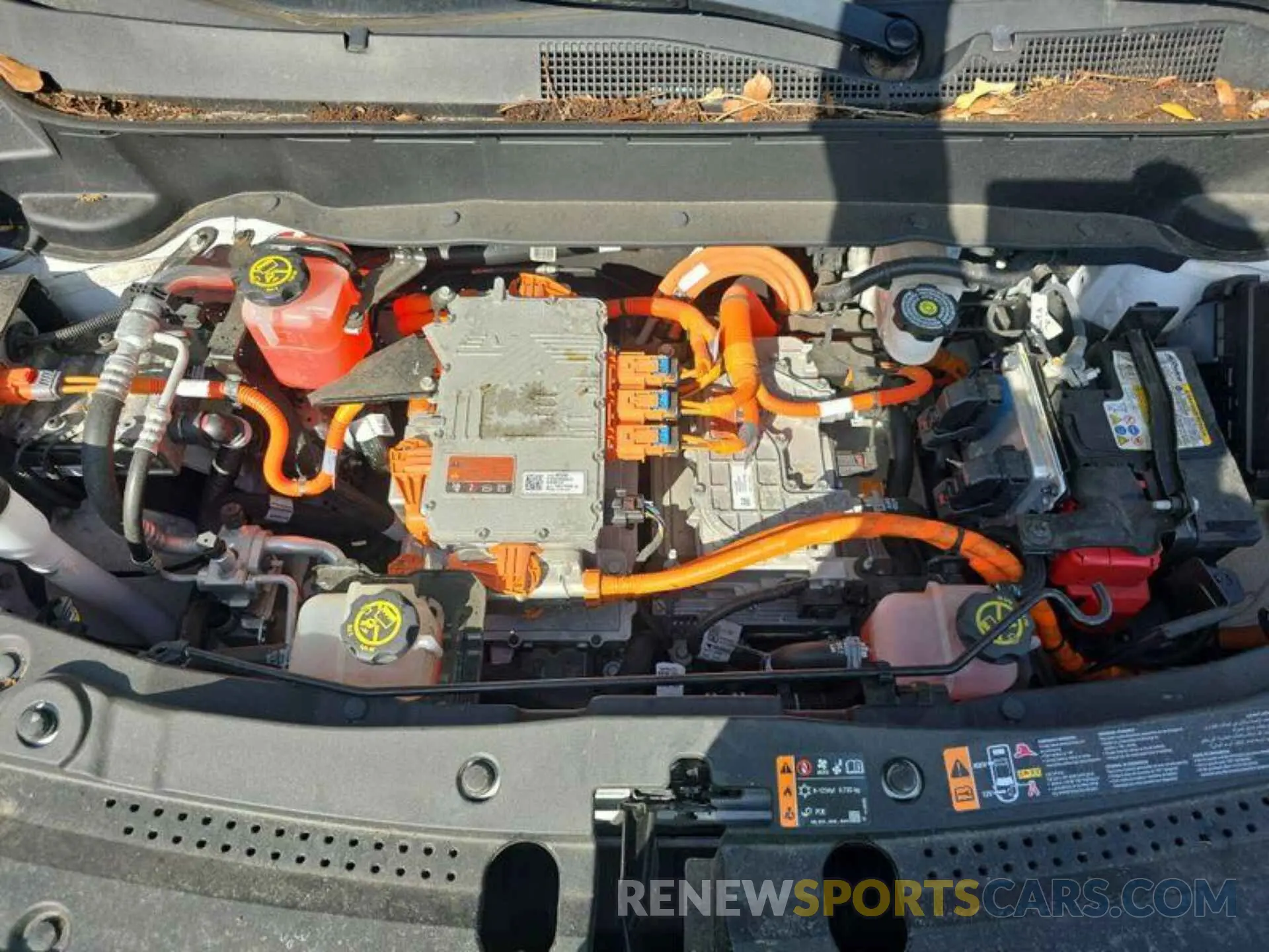 18 Фотография поврежденного автомобиля 1G1FY6S05N4125121 CHEVROLET BOLT EUV 2022