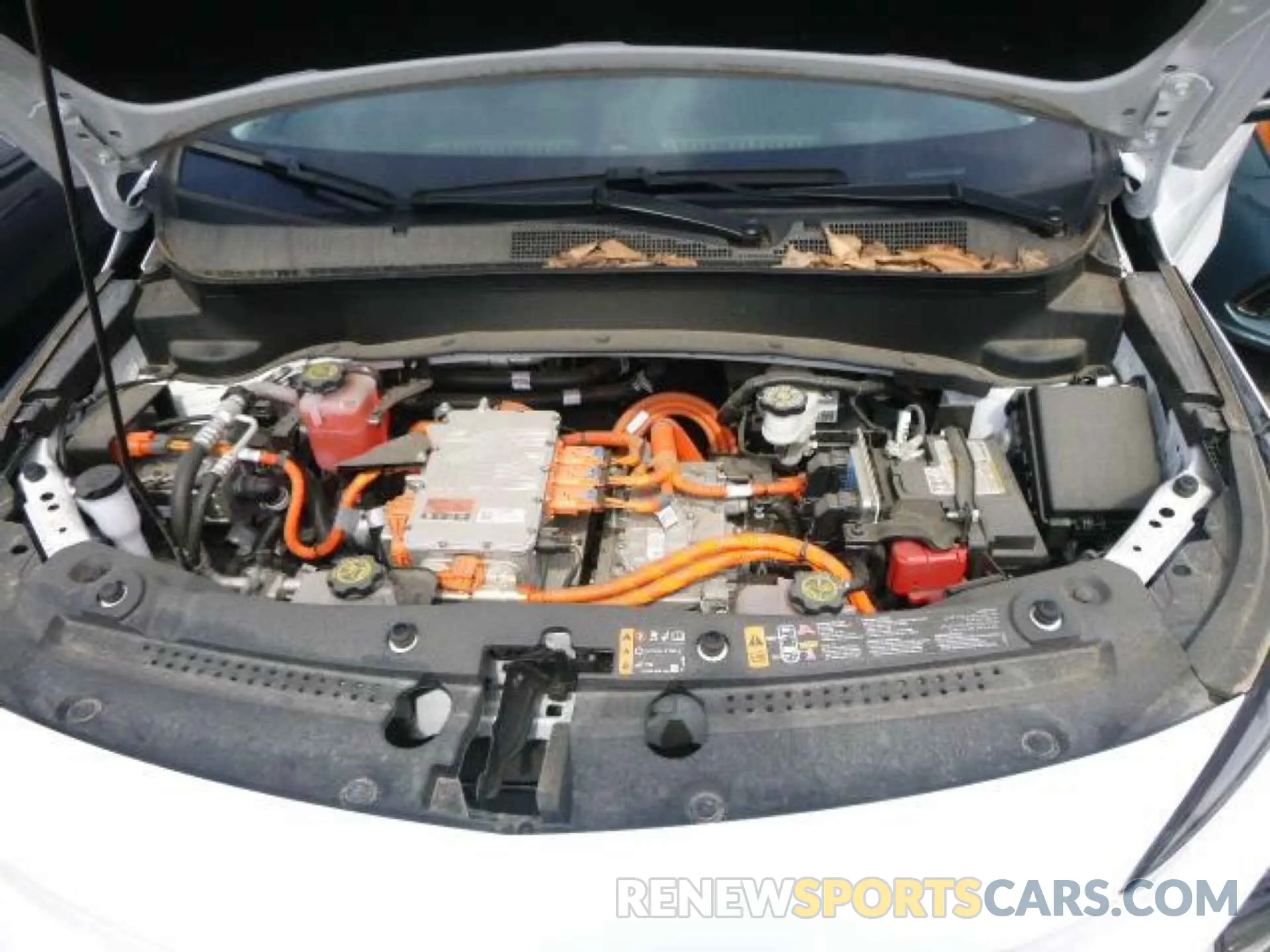 16 Фотография поврежденного автомобиля 1G1FY6S05N4125216 CHEVROLET BOLT EUV 2022