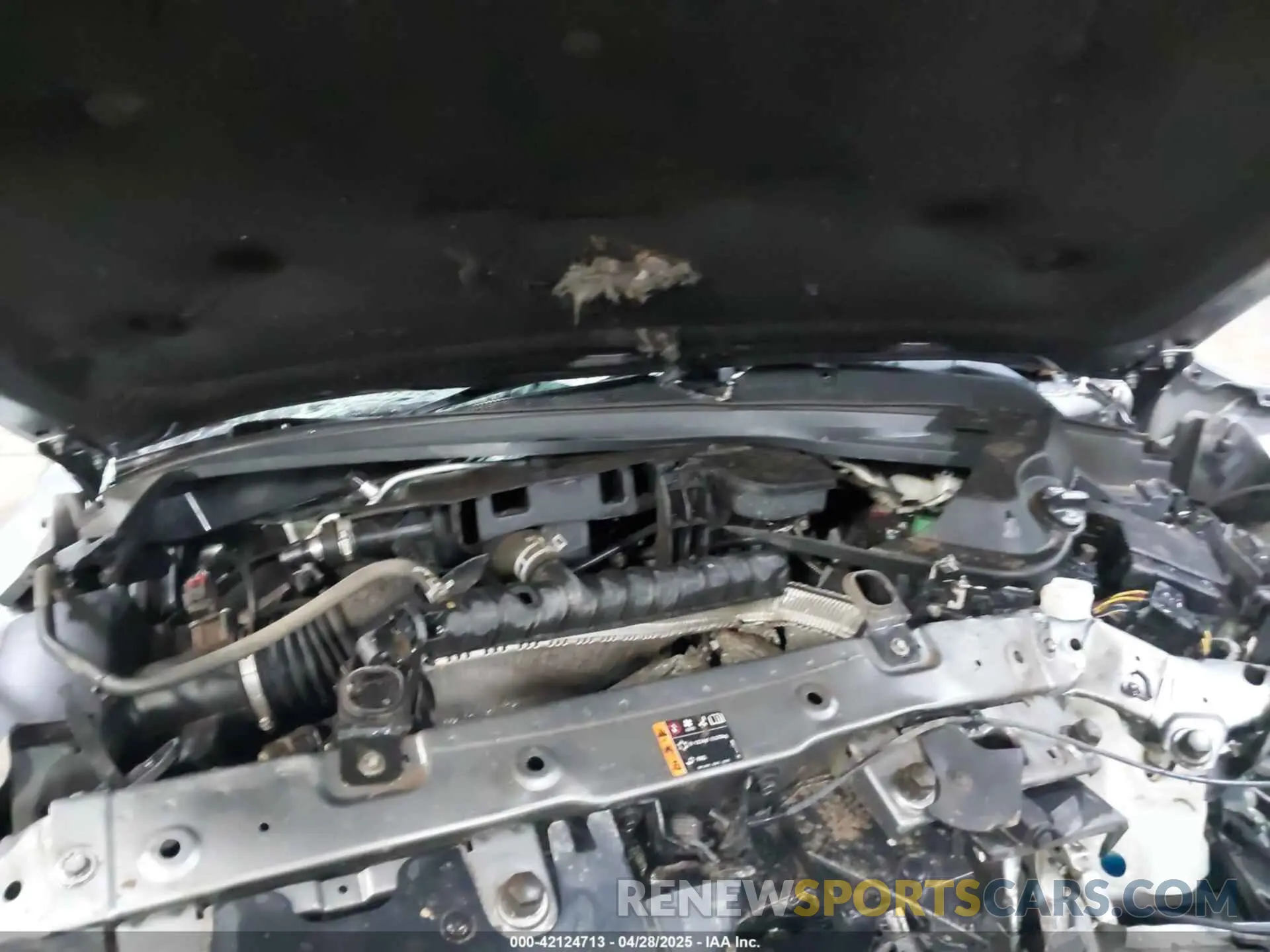 10 Photograph of a damaged car 1GCGTDEN3K1116212 CHEVROLET COLORADO 2019