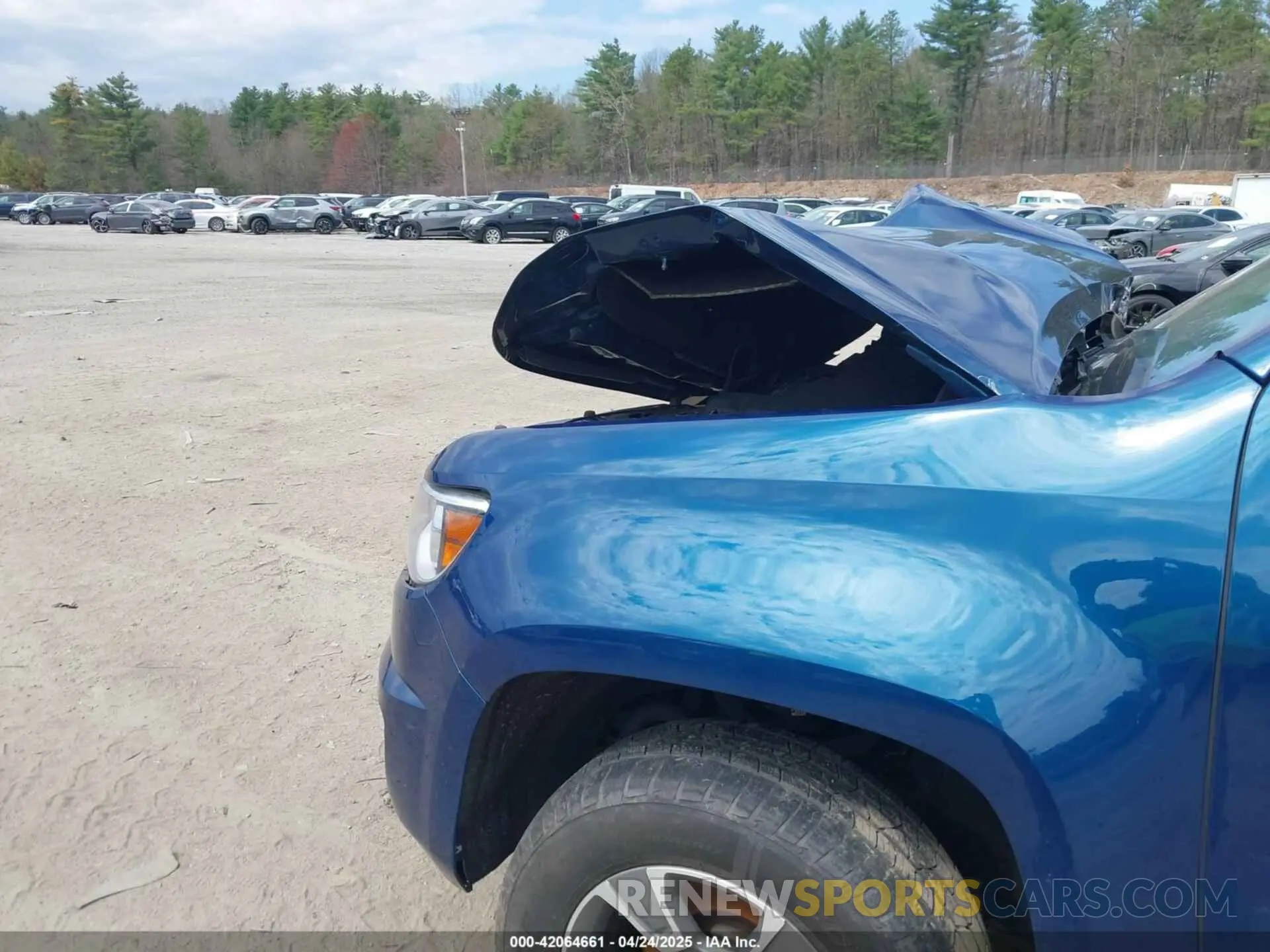 6 Photograph of a damaged car 1GCGTDEN8K1321895 CHEVROLET COLORADO 2019