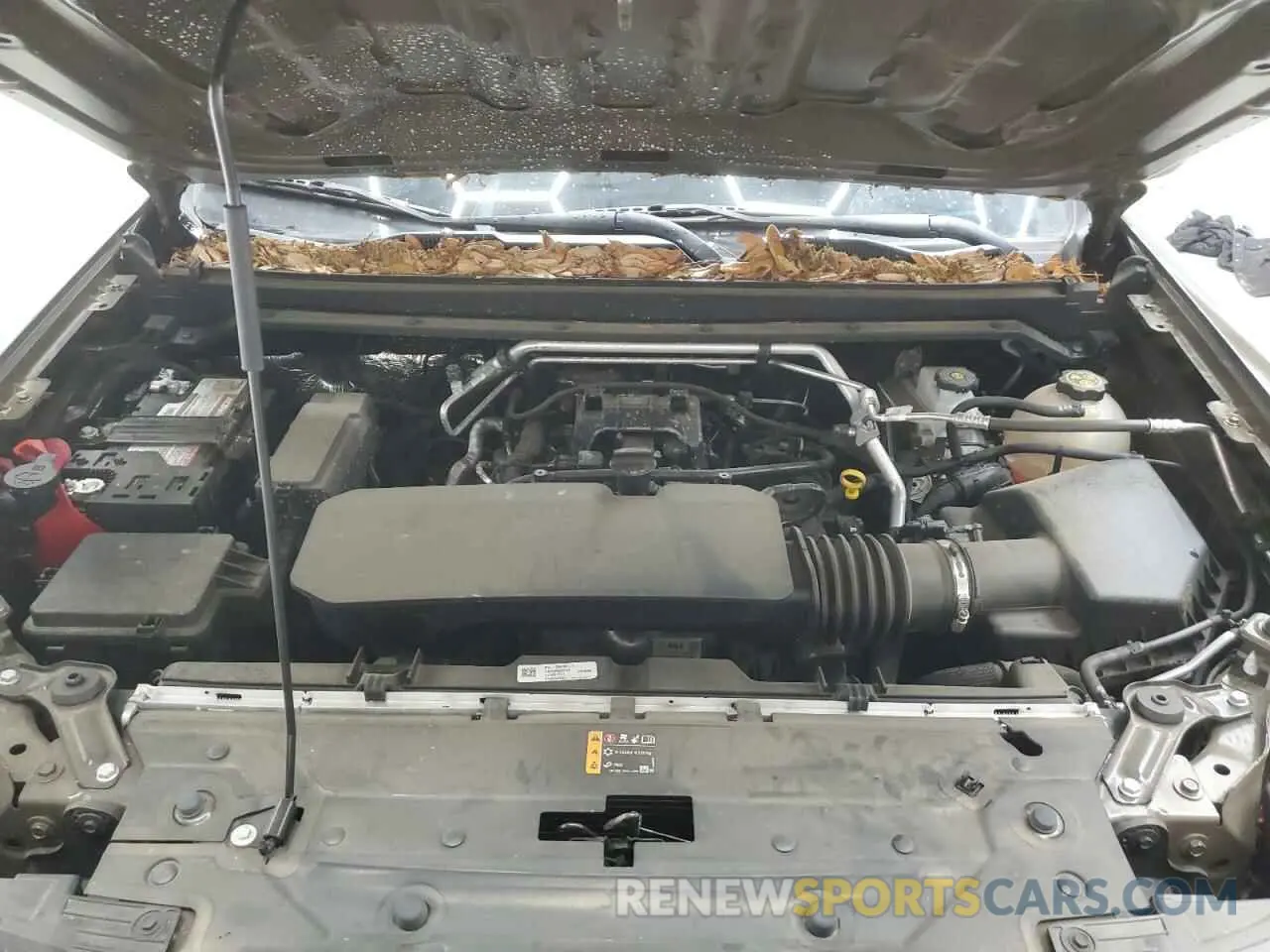 11 Photograph of a damaged car 1GCGSBEC9P1263440 CHEVROLET COLORADO 2023