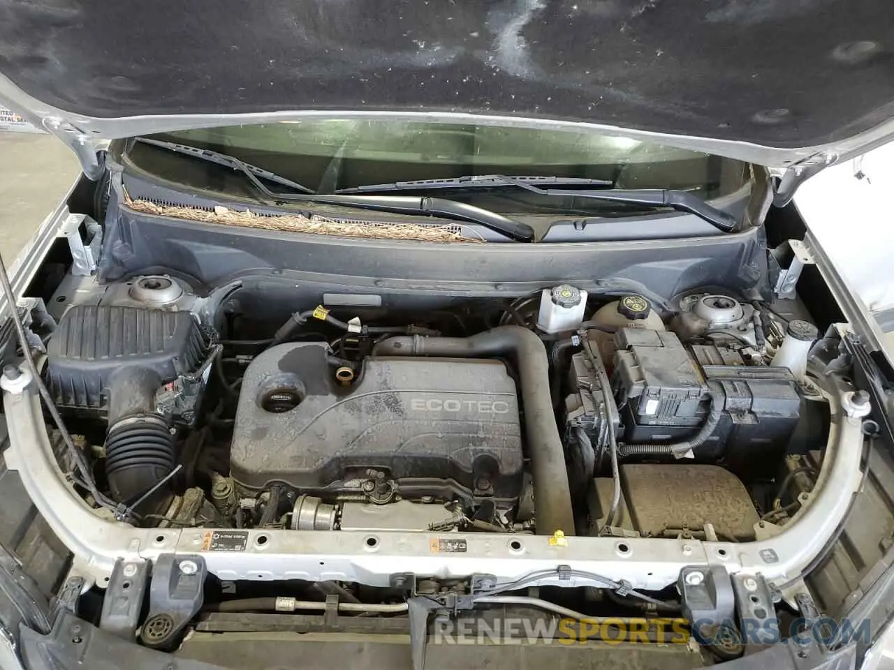 12 Photograph of a damaged car 2GNAXUEV9K6114964 CHEVROLET EQUINOX 2019
