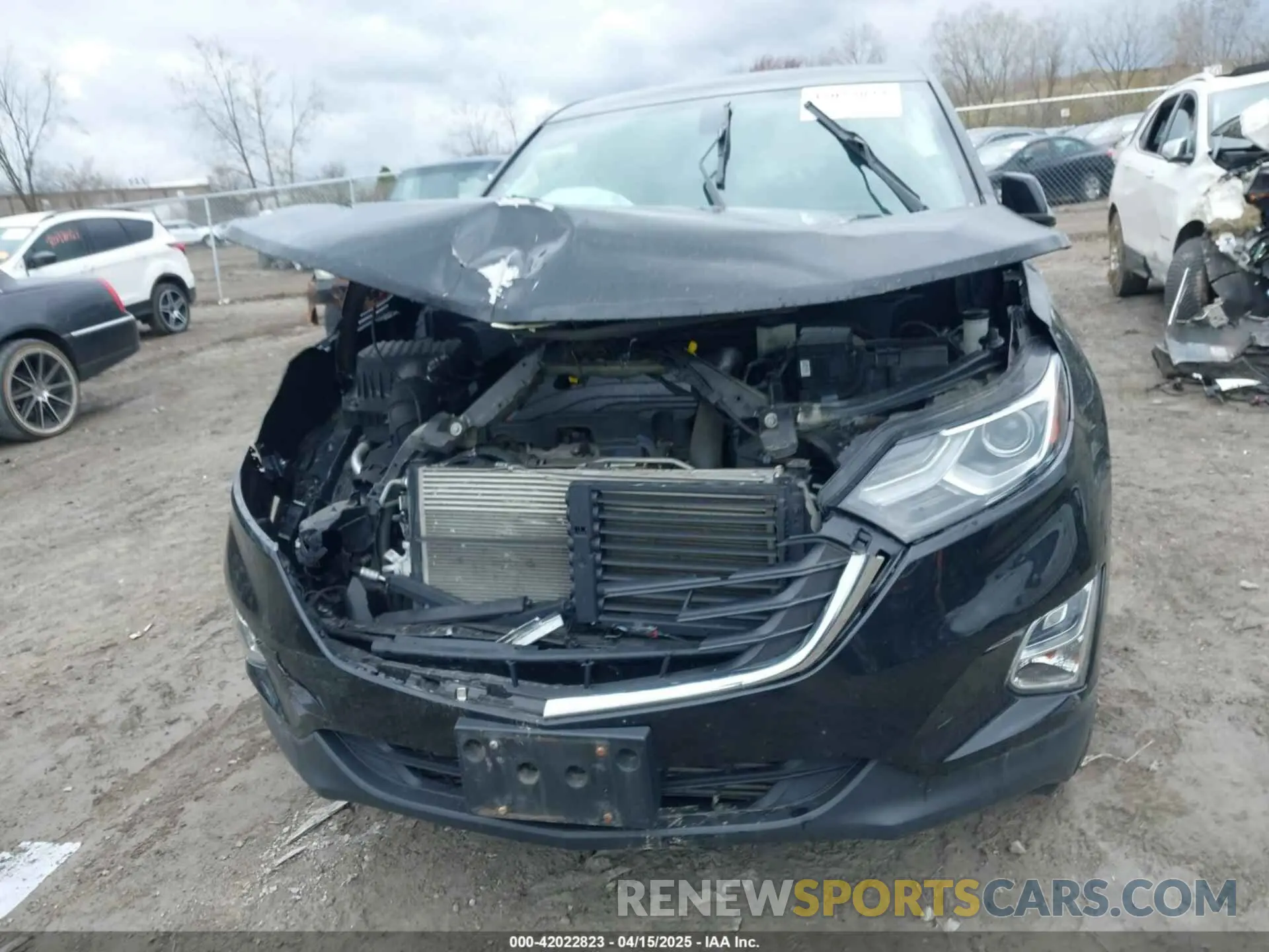 13 Photograph of a damaged car 3GNAXUEV0KL231313 CHEVROLET EQUINOX 2019
