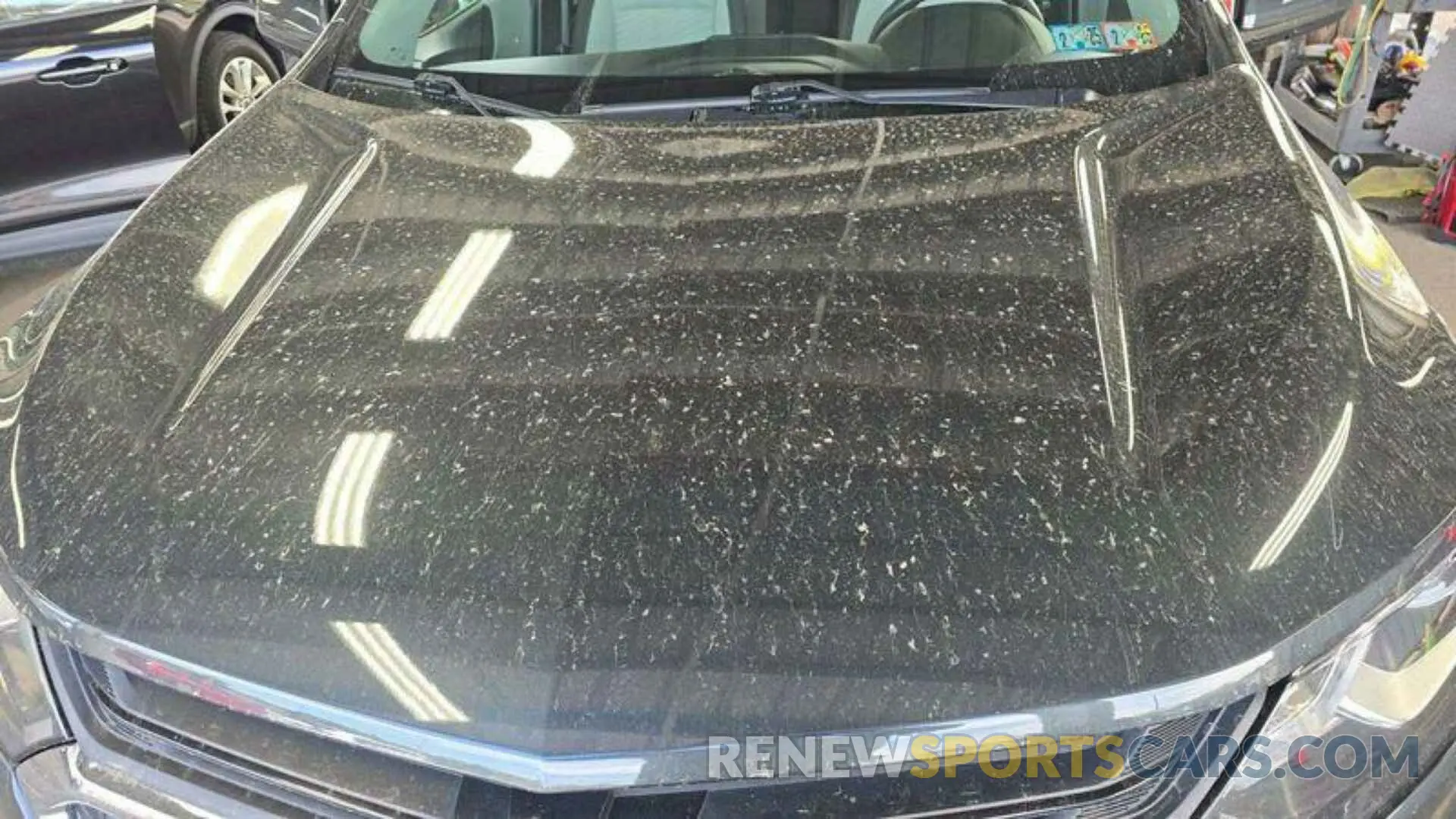 24 Photograph of a damaged car 2GNAXTEV1L6169758 CHEVROLET EQUINOX 2020