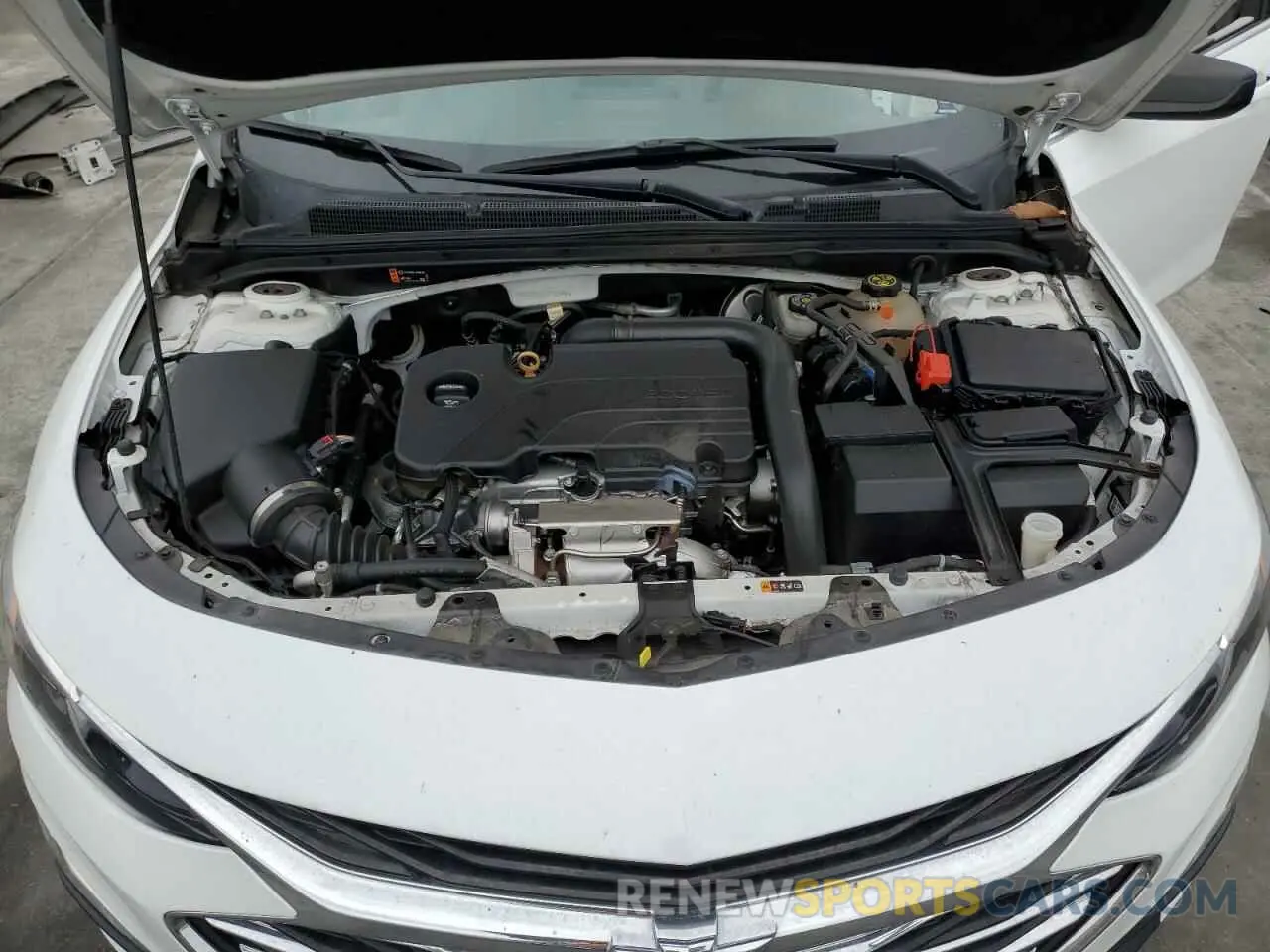 11 Photograph of a damaged car 1G1ZB5ST1KF121490 CHEVROLET MALIBU 2019