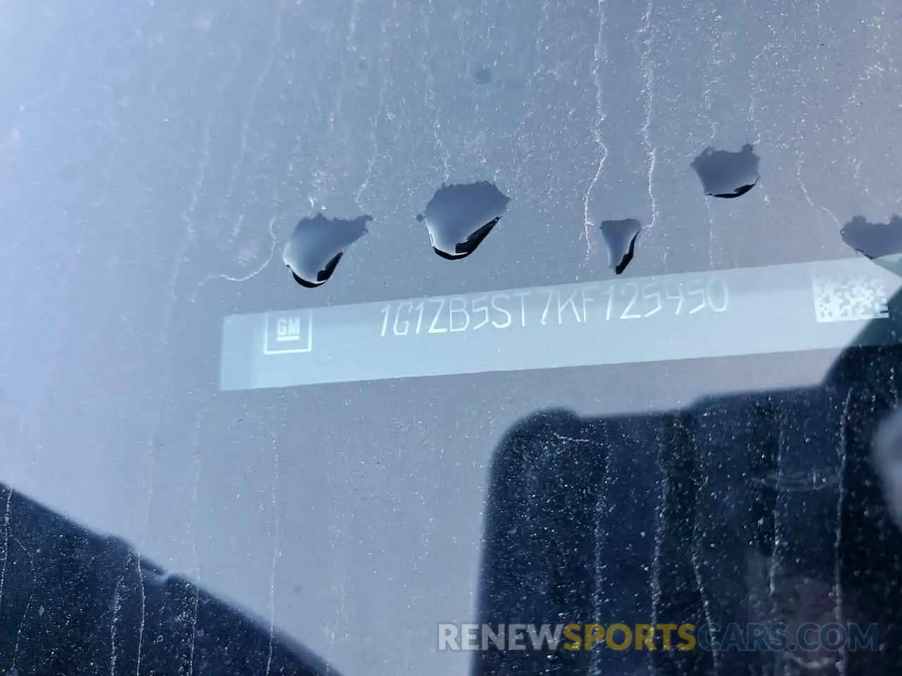 12 Photograph of a damaged car 1G1ZB5ST7KF125950 CHEVROLET MALIBU 2019